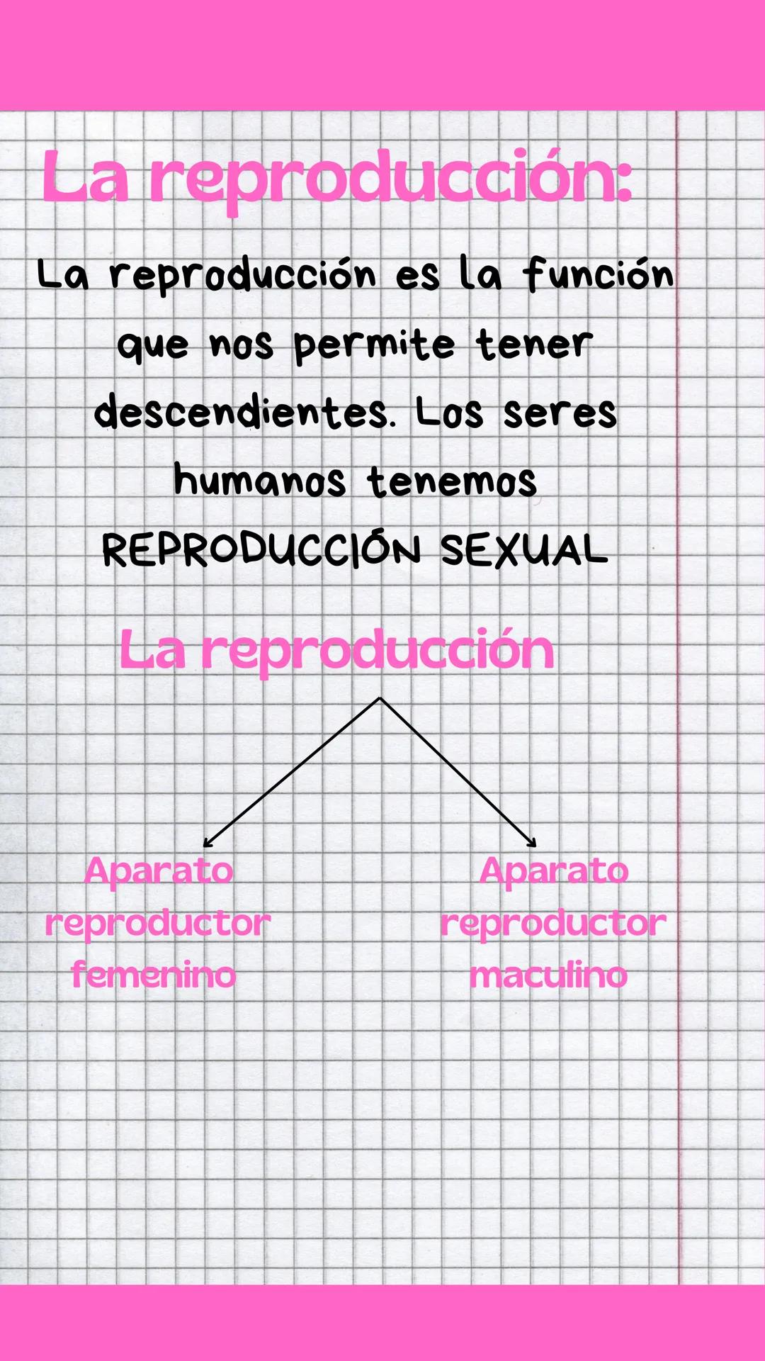 # La reproducción:
La reproducción es la función
que nos permite tener
descendientes. Los seres
humanos tenemos
REPRODUCCIÓN SEXUAL
La rep