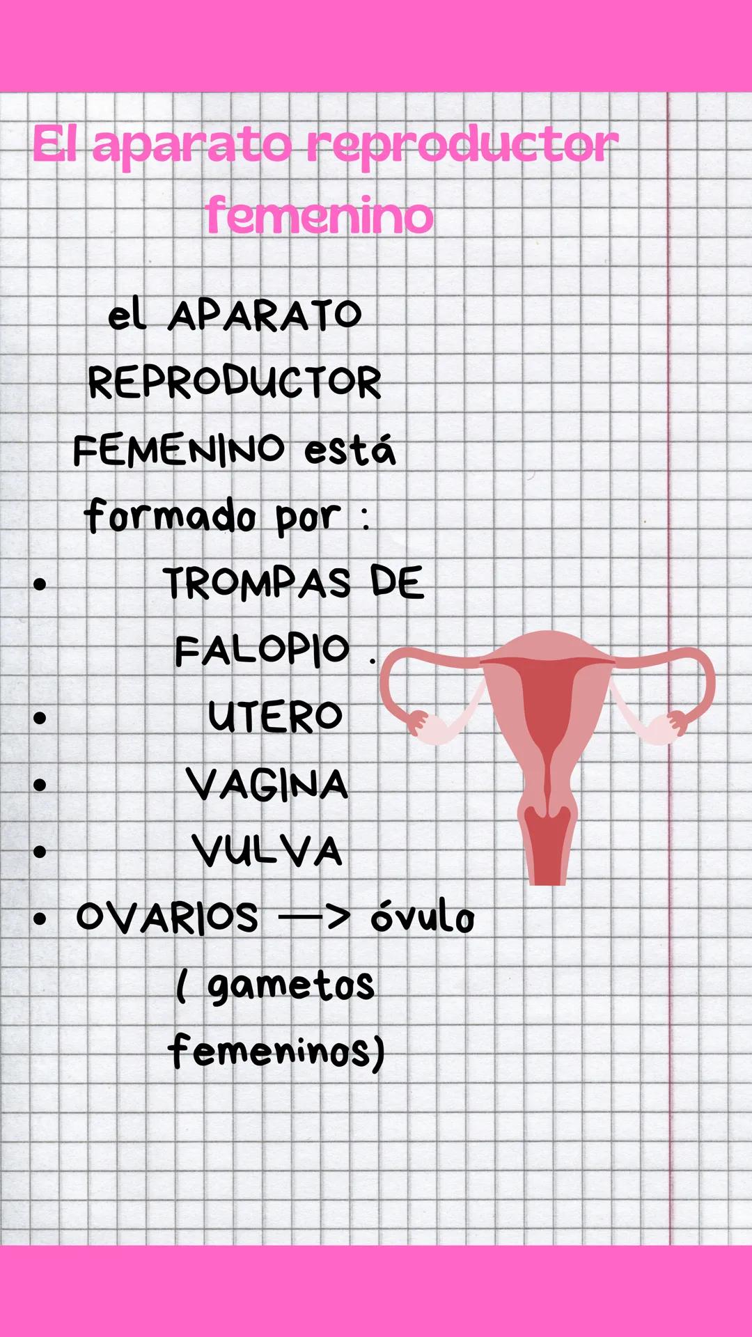 # La reproducción:
La reproducción es la función
que nos permite tener
descendientes. Los seres
humanos tenemos
REPRODUCCIÓN SEXUAL
La rep