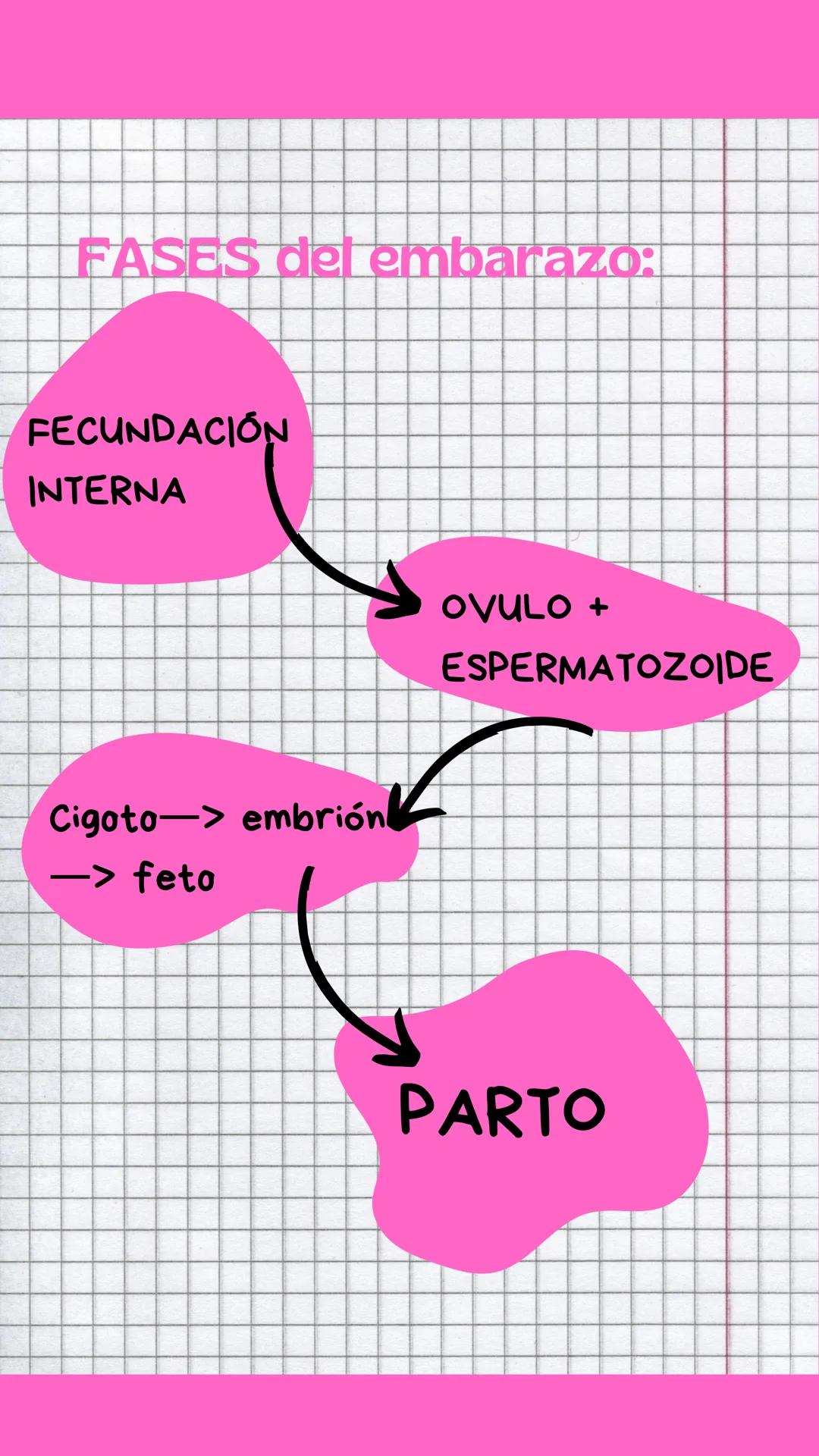 # La reproducción:
La reproducción es la función
que nos permite tener
descendientes. Los seres
humanos tenemos
REPRODUCCIÓN SEXUAL
La rep