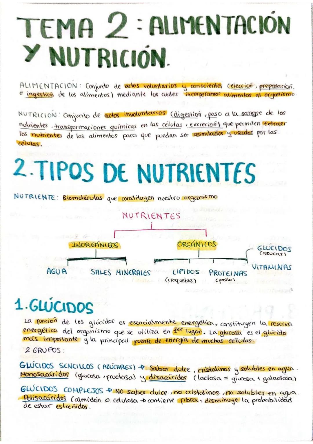 # TEMA 2: ALIMENTACIÓN
Y NUTRICIÓN.
ALIMENTACION: Conjunto de actos voluntarios y conscientes (elección, preparación,
e ingestion de los al