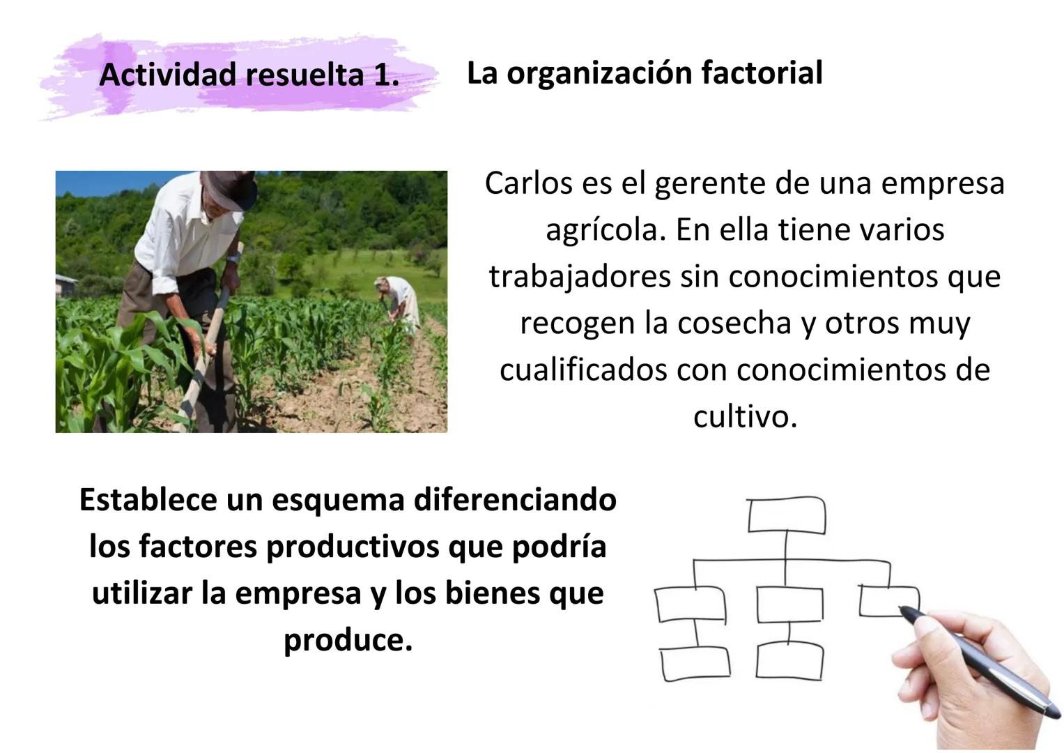 DIAPOSITIVAS 1º BACHILLERATO
UNIDAD 2. DECISIONES ECONÓMICAS
COLECTIVAS.
Material editado por:
Material elaborado por:
Econosublime
@Ec