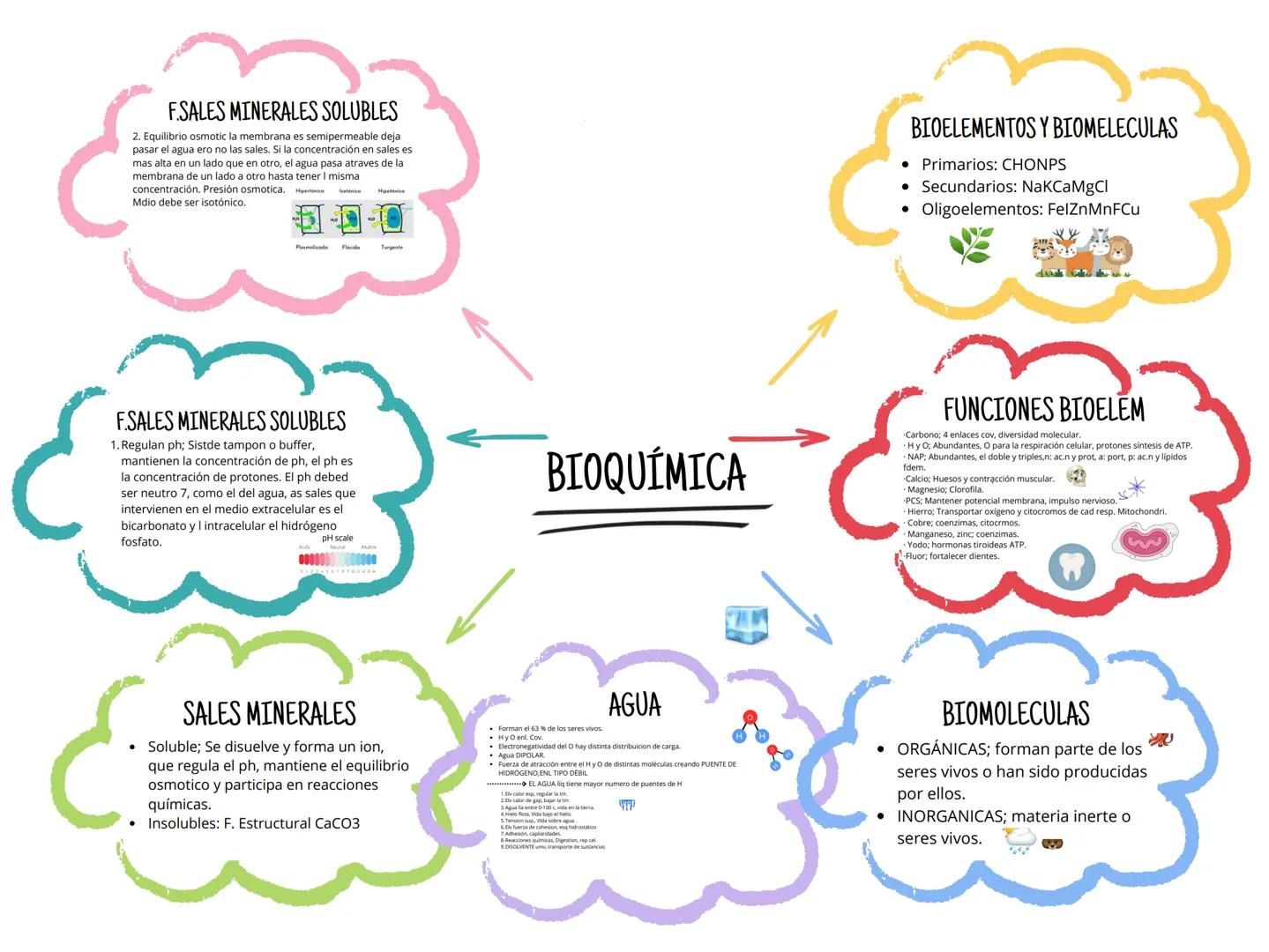 F.SALES MINERALES SOLUBLES
2. Equilibrio osmotic la membrana es semipermeable deja
pasar el agua ero no las sales. Si la concentración en sa