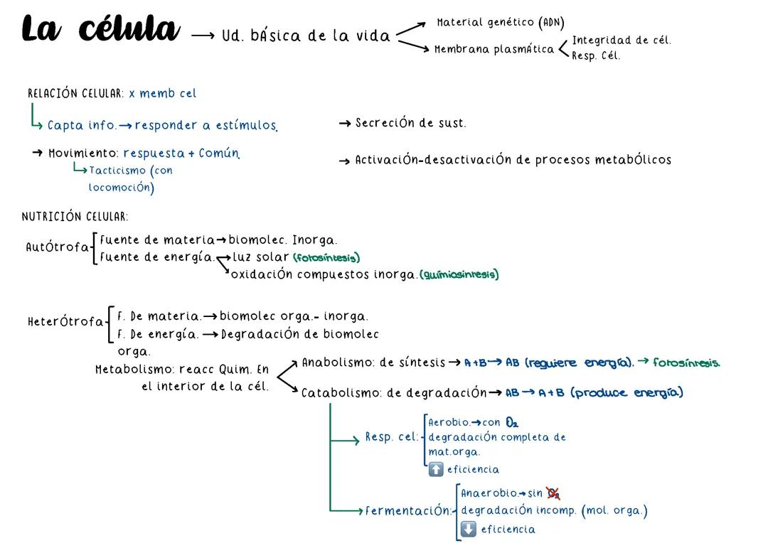 Biología 1 bachillerato tema 1