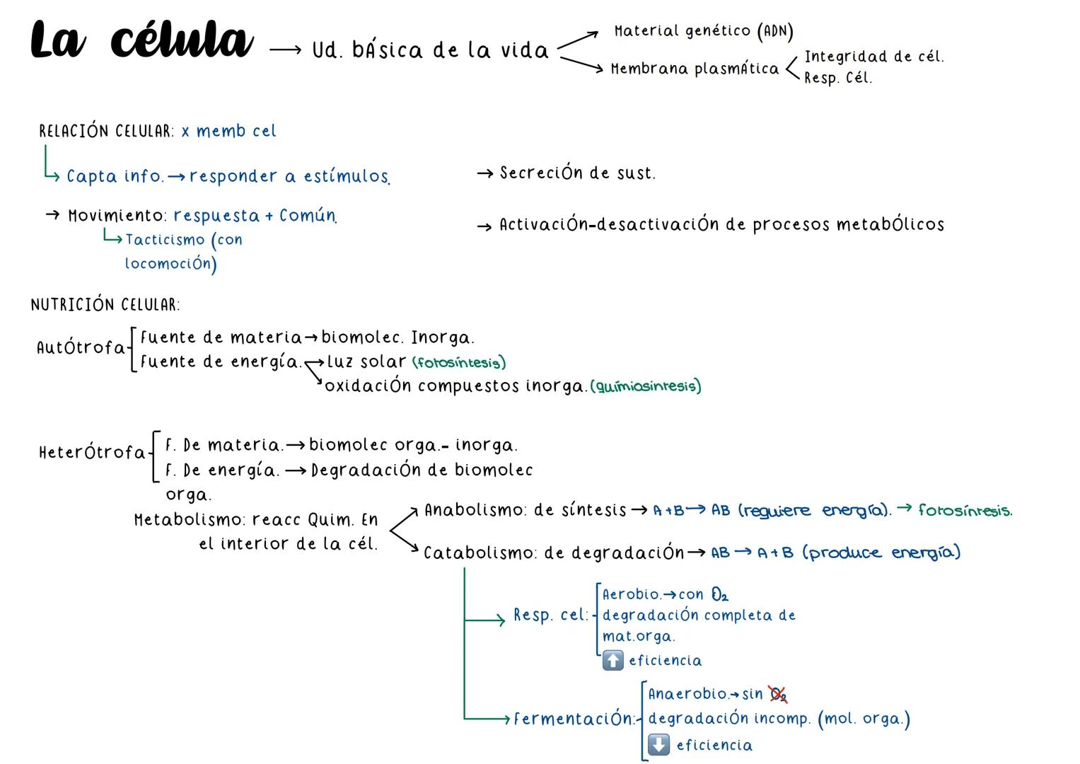 La célula
Material genético (ADN)
→ Ud. básica de la vida
Membrana plasmática Integridad de cél.
Resp. Cél.
RELACIÓN CELULAR: x memb cel
Cap