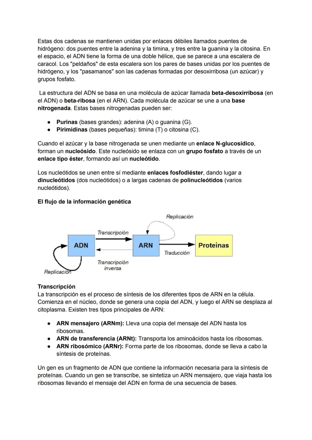 # Niveles de organización
- Nivel molecular: Los bioelementos se unen para formar biomoléculas, y estas se
agrupan para formar complejos su