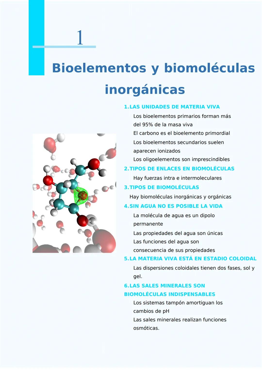 # 1
Bioelementos y biomoléculas
inorgánicas
1. LAS UNIDADES DE MATERIA VIVA
Los bioelementos primarios forman más
del 95% de la masa viva