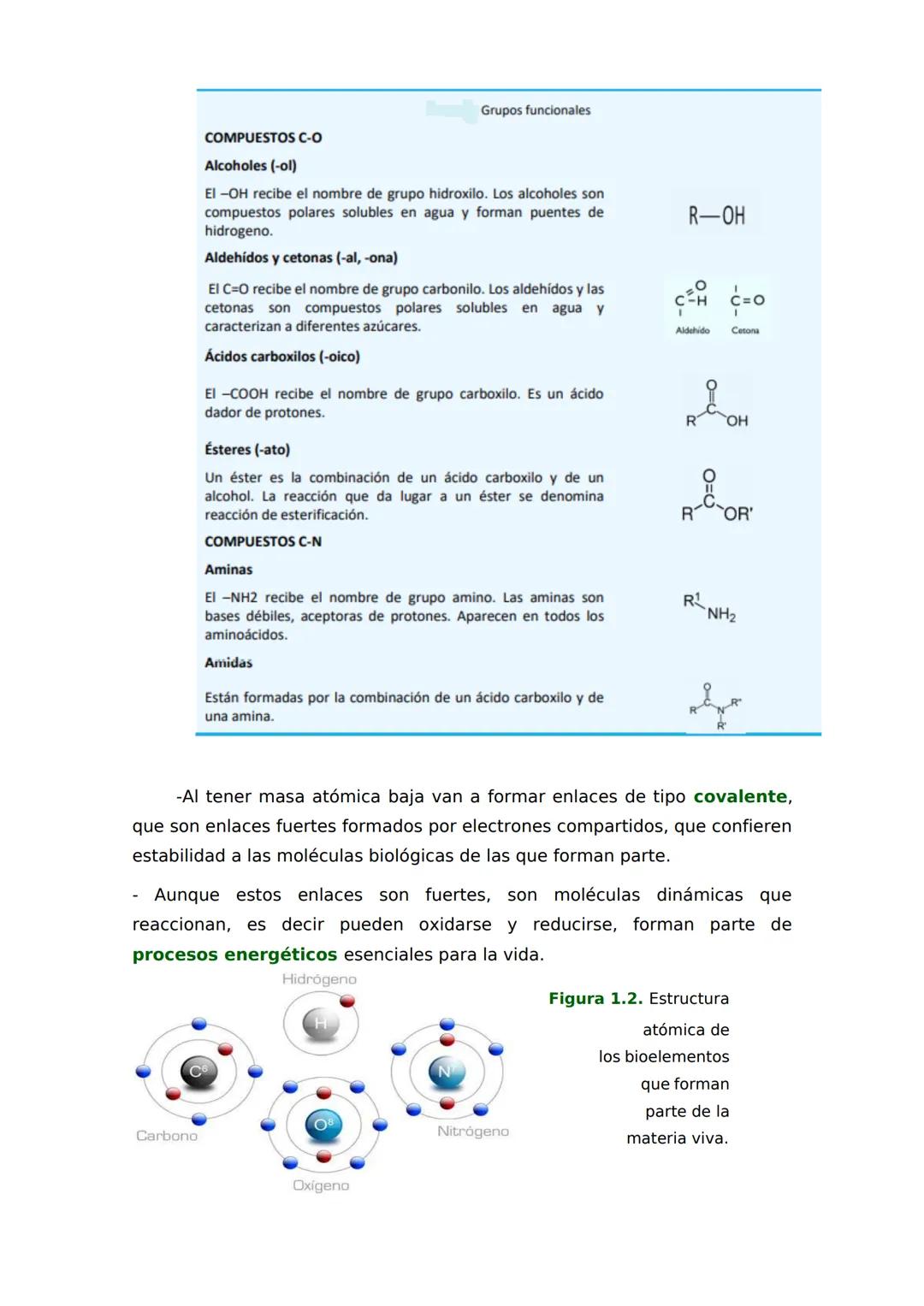 # 1
Bioelementos y biomoléculas
inorgánicas
1. LAS UNIDADES DE MATERIA VIVA
Los bioelementos primarios forman más
del 95% de la masa viva
