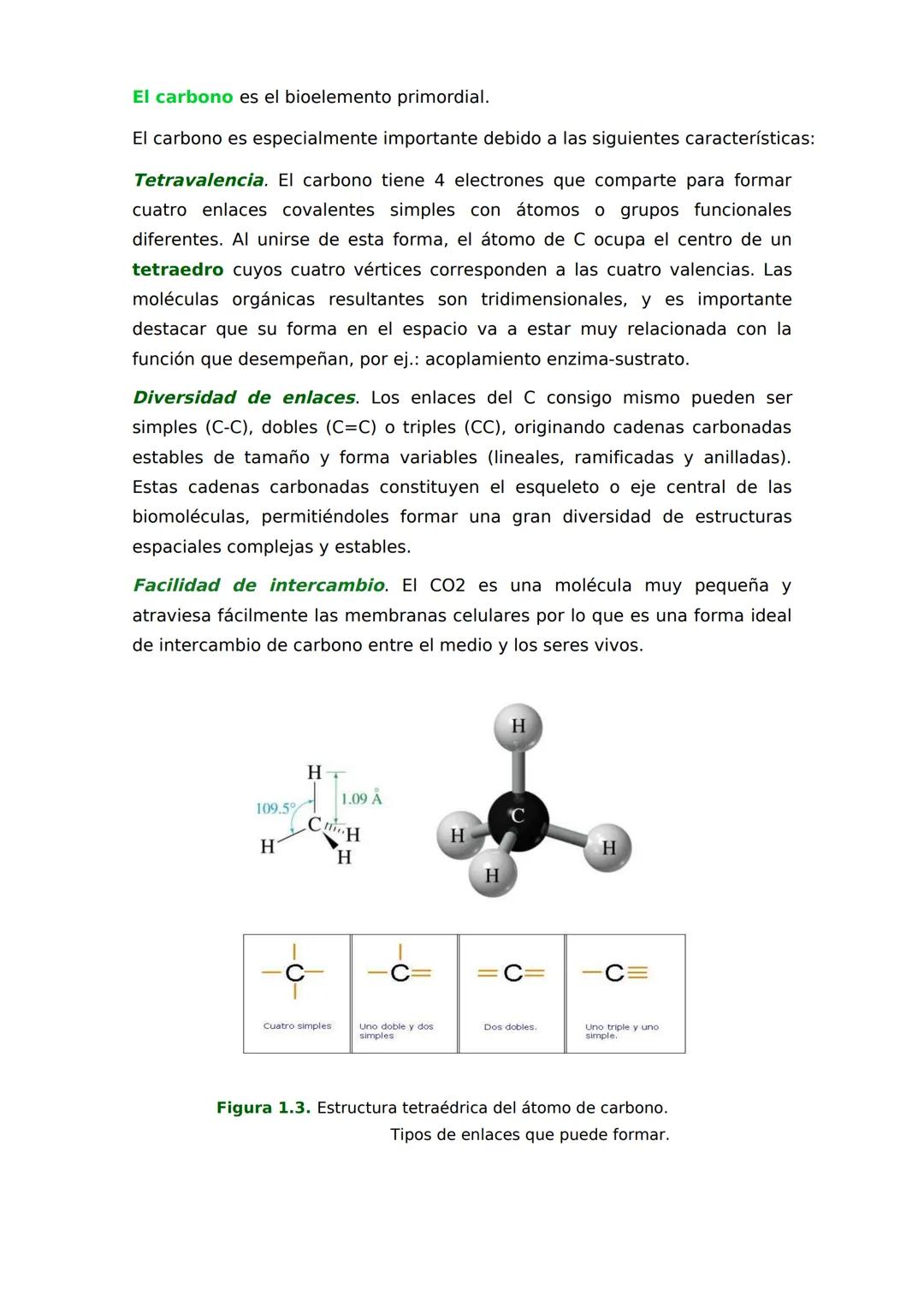 # 1
Bioelementos y biomoléculas
inorgánicas
1. LAS UNIDADES DE MATERIA VIVA
Los bioelementos primarios forman más
del 95% de la masa viva