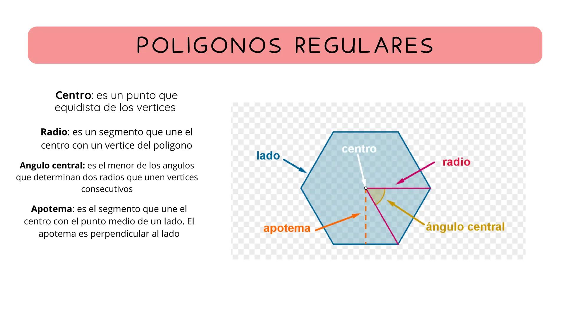 ויויוי
זיויו
TEMA 2 GEOMETRÍA
ויויויב
Lיויויויוי 1
TIPOS DE RECTAS
Semirecta: es cada una de las partes en las que queda
dividida una recta