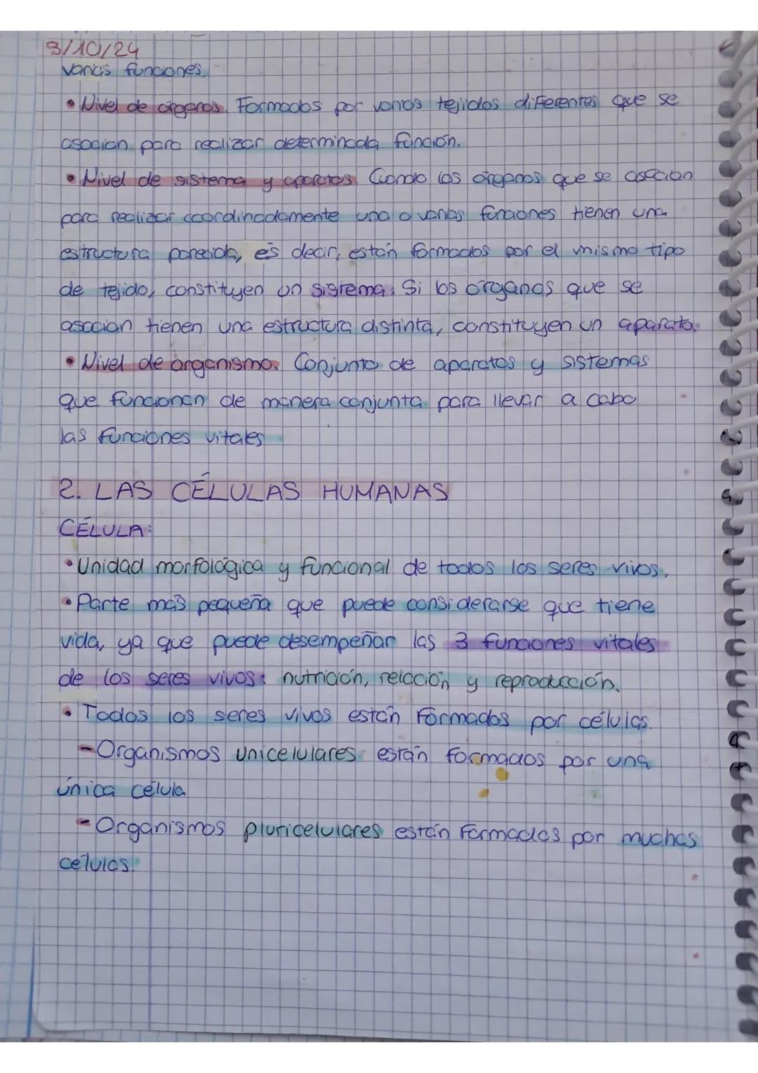 UNIDAD 4:2 CUERPO
1. Niveles de organización
ЗМФ/24
UMANO-biologi
• El cuerpo humano estor orgonizado en atomos, motevios
celuids, tejidos,