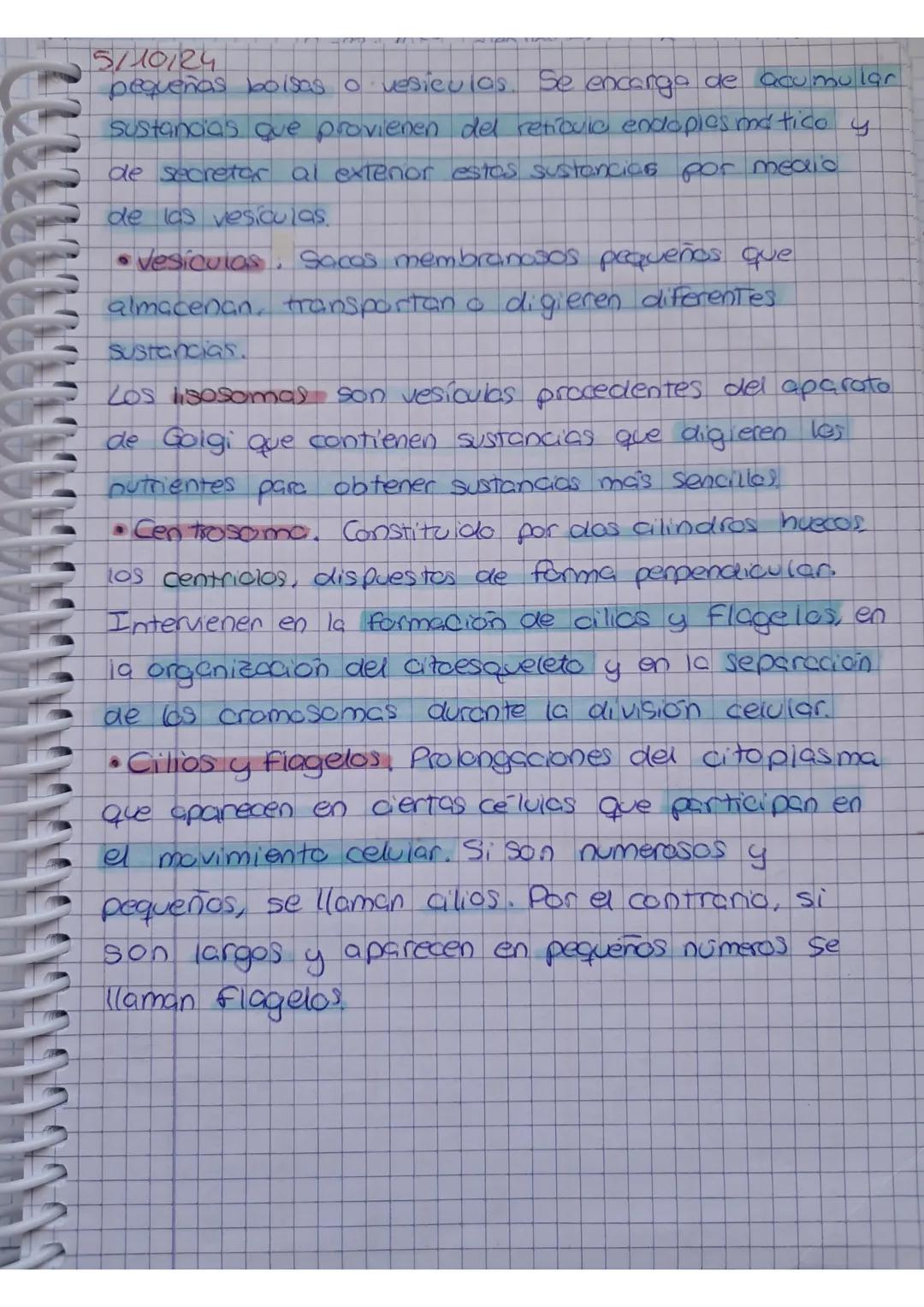 UNIDAD 4:2 CUERPO
1. Niveles de organización
ЗМФ/24
UMANO-biologi
• El cuerpo humano estor orgonizado en atomos, motevios
celuids, tejidos,