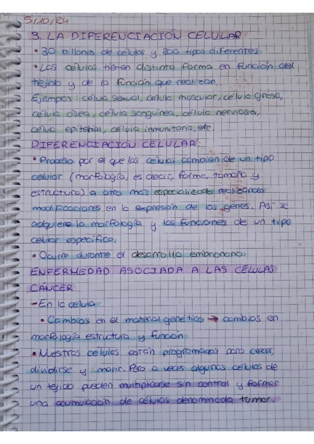 UNIDAD 4:2 CUERPO
1. Niveles de organización
ЗМФ/24
UMANO-biologi
• El cuerpo humano estor orgonizado en atomos, motevios
celuids, tejidos,