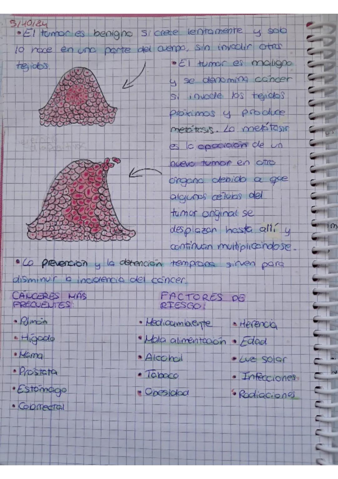 UNIDAD 4:2 CUERPO
1. Niveles de organización
ЗМФ/24
UMANO-biologi
• El cuerpo humano estor orgonizado en atomos, motevios
celuids, tejidos,