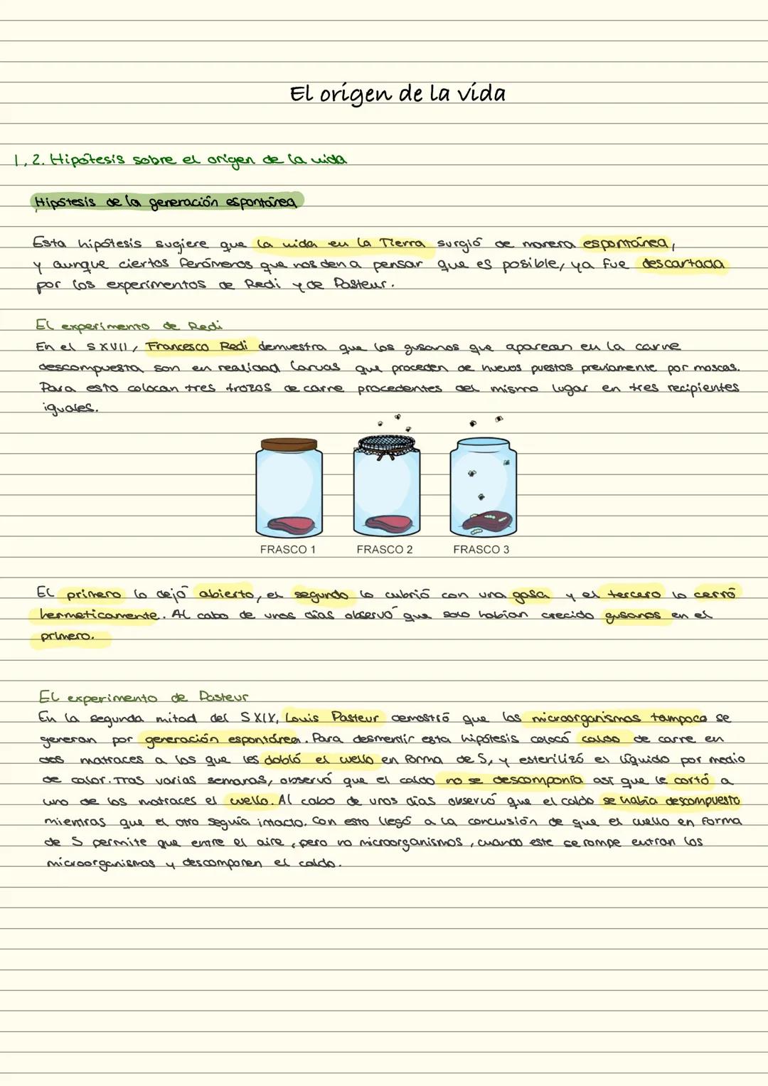 #Sample El origen de la vida
1.2. Hipotesis sobre el origen de la vida
Hipstesis de la generación espontanea
Esta hipótesis sugiere que la v