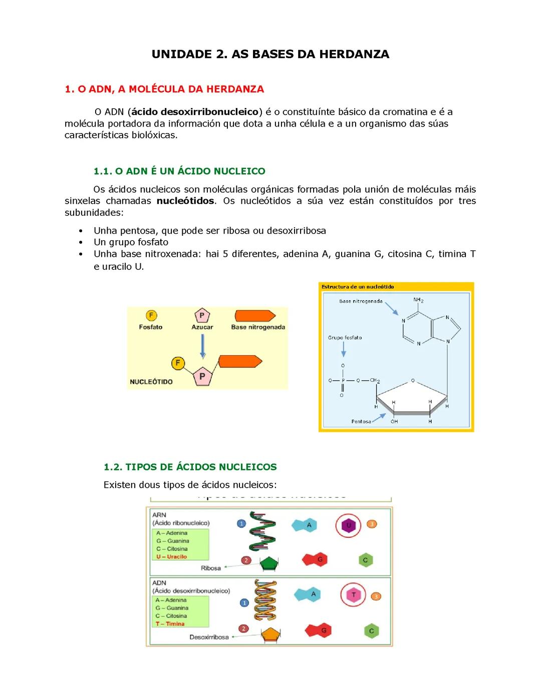 Acidos nucleicos (ADN y ARN)