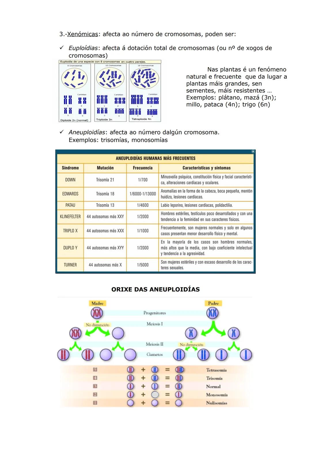 UNIDADE 2. AS BASES DA HERDANZA
1. O ADN, A MOLÉCULA DA HERDANZA
O ADN (ácido desoxirribonucleico) é o constituínte básico da cromatina e é