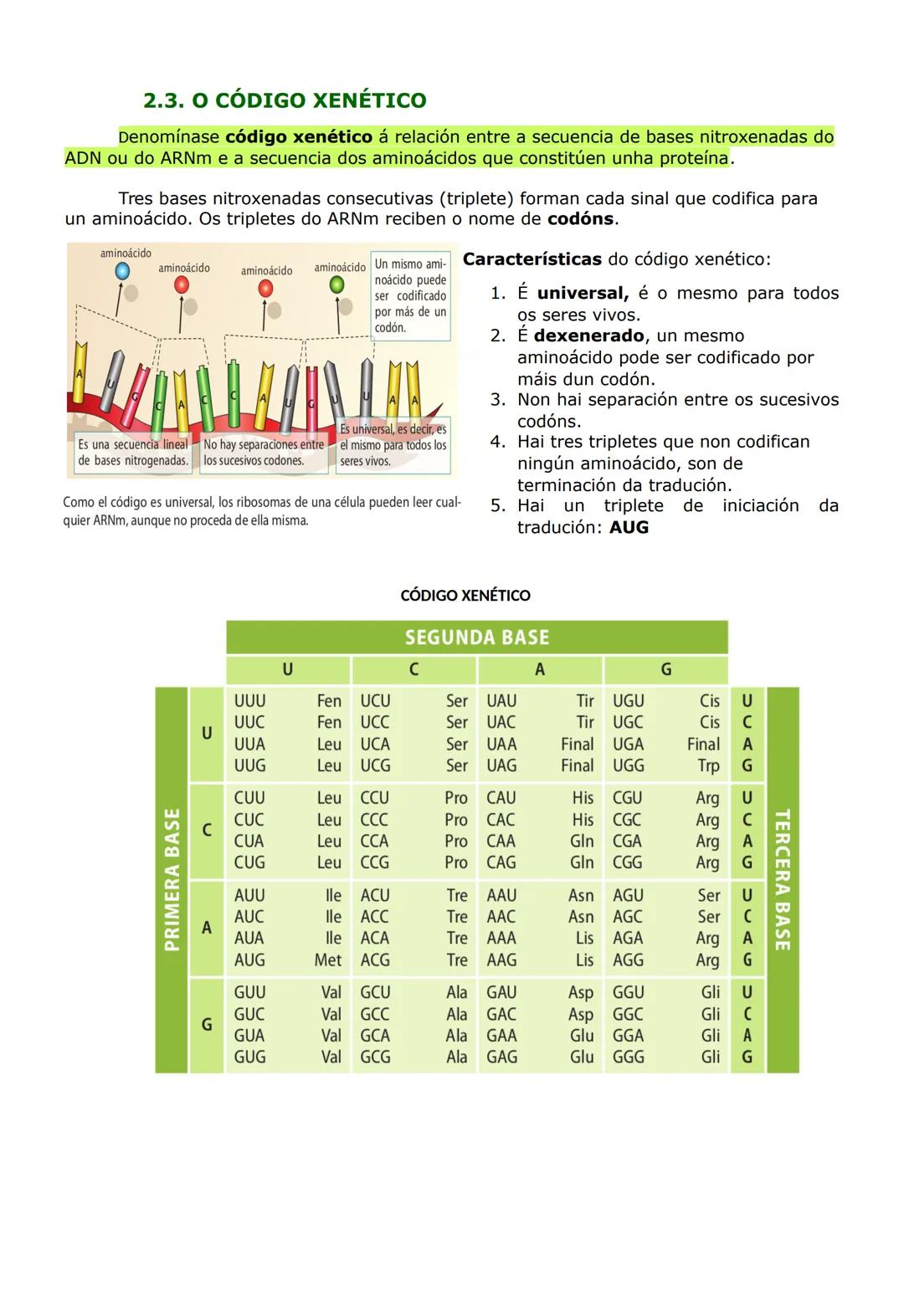 UNIDADE 2. AS BASES DA HERDANZA
1. O ADN, A MOLÉCULA DA HERDANZA
O ADN (ácido desoxirribonucleico) é o constituínte básico da cromatina e é
