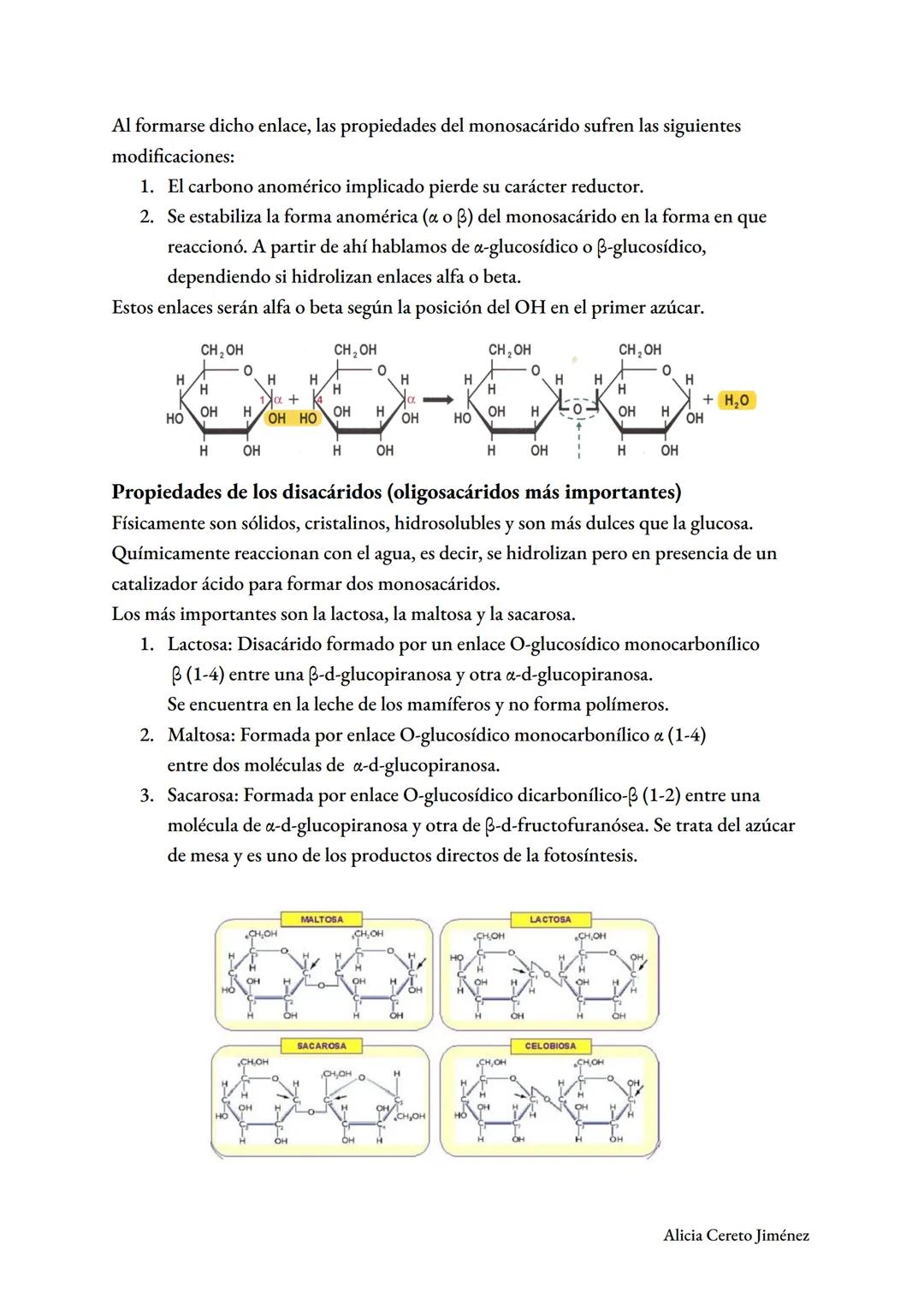 Glúcidos y lípidos
TEMA 2
Alicia Cereto Jiménez GLÚCIDOS
Son biomoléculas formadas por CO₂H (mal llamados hidratos de carbono).
Químicamente