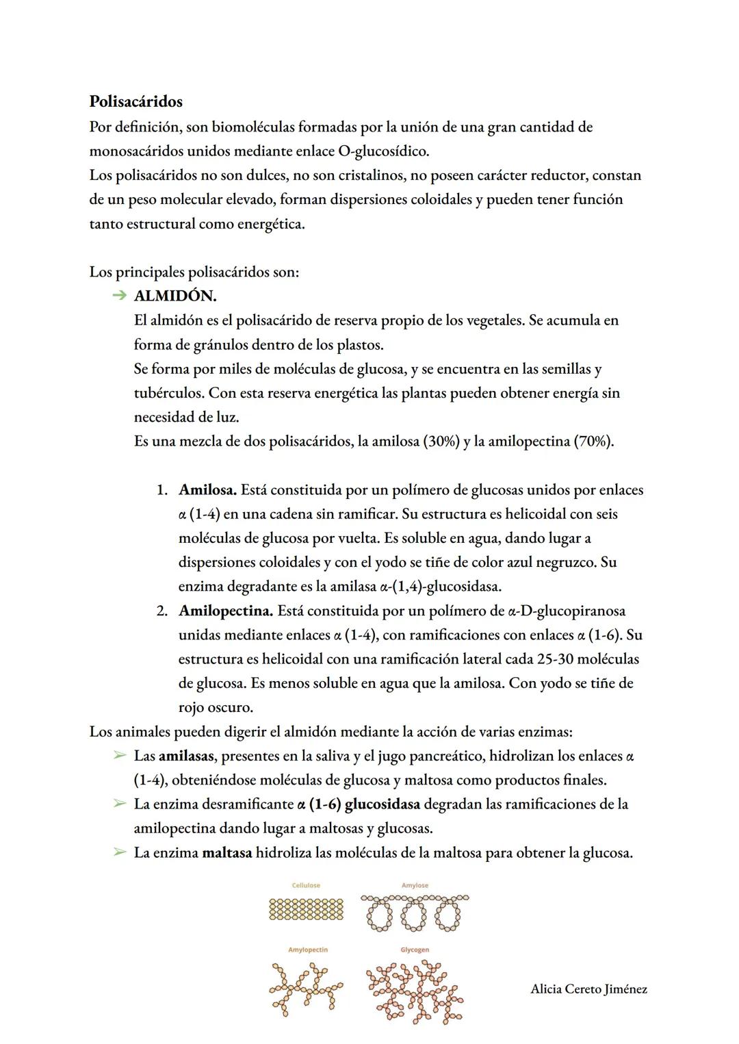 Glúcidos y lípidos
TEMA 2
Alicia Cereto Jiménez GLÚCIDOS
Son biomoléculas formadas por CO₂H (mal llamados hidratos de carbono).
Químicamente