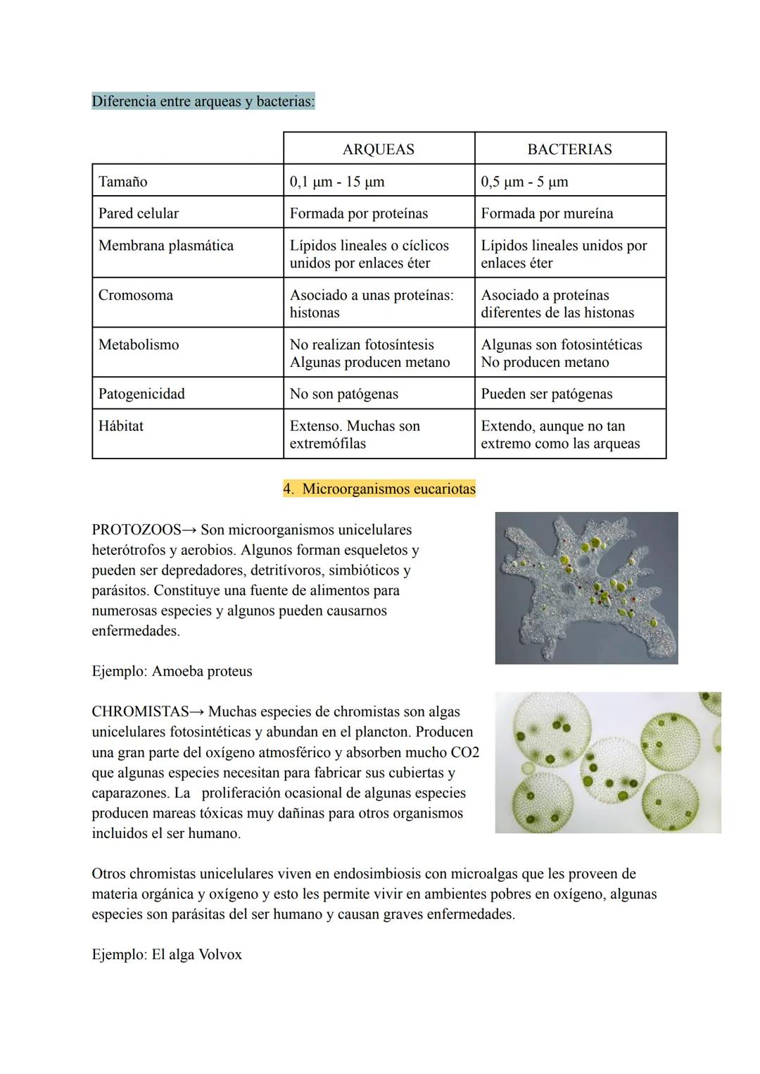 # TEMA 7 MICROORGANISMOS Y
# FORMAS ACELULARES
1. Microorganismos: concepto y diversidad
El término microorganismo hace referencia a un gr