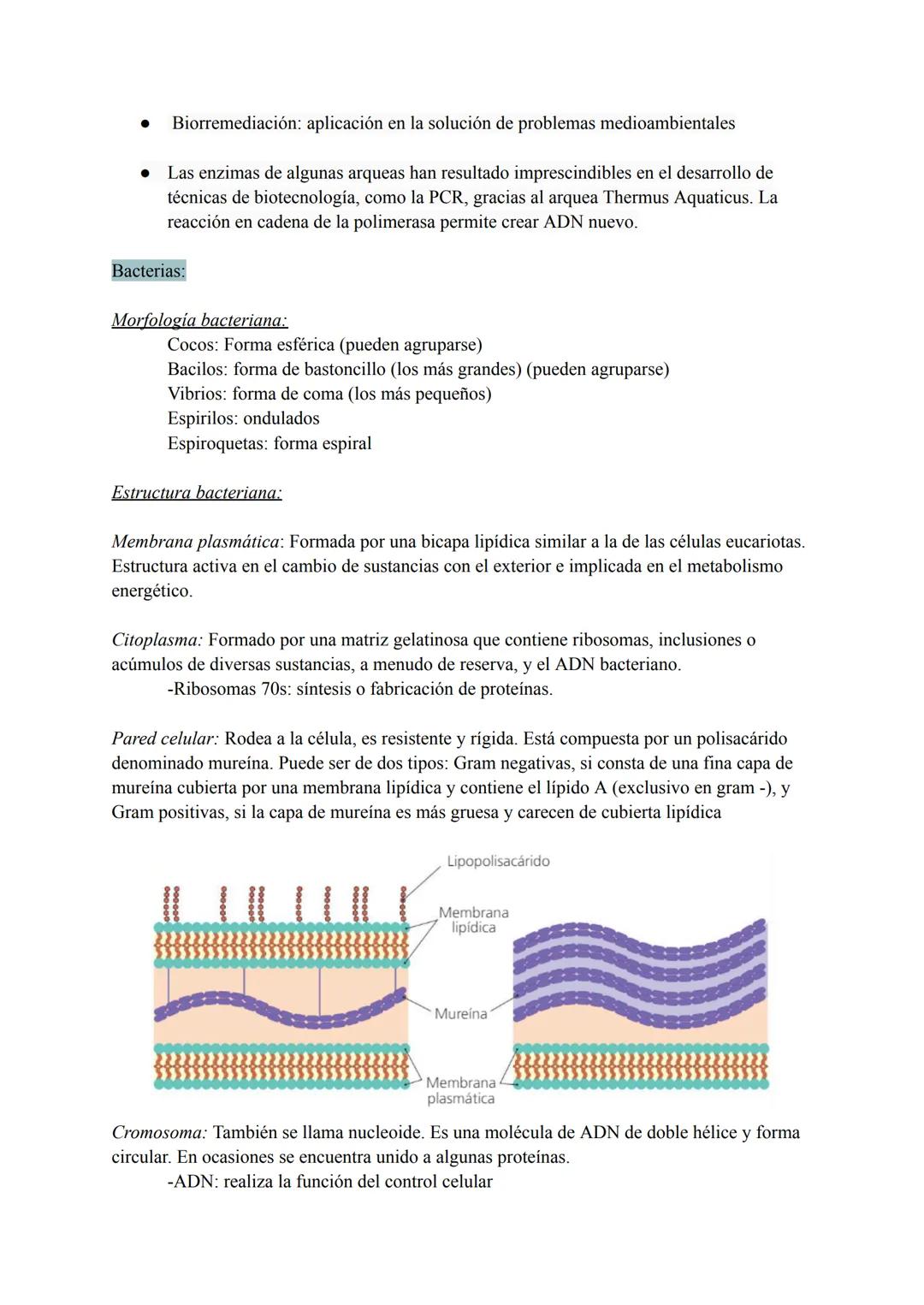 # TEMA 7 MICROORGANISMOS Y
# FORMAS ACELULARES
1. Microorganismos: concepto y diversidad
El término microorganismo hace referencia a un gr