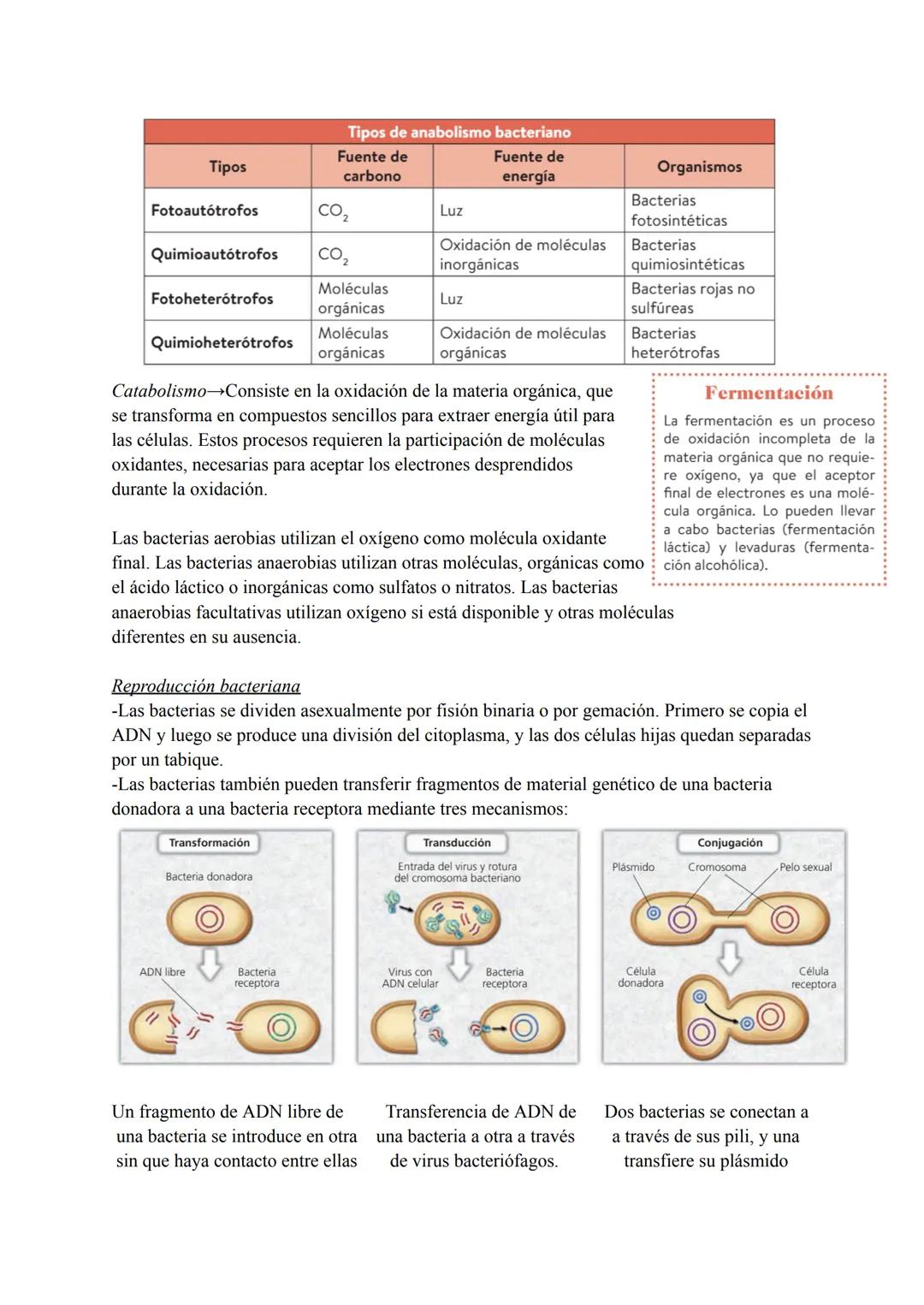 # TEMA 7 MICROORGANISMOS Y
# FORMAS ACELULARES
1. Microorganismos: concepto y diversidad
El término microorganismo hace referencia a un gr