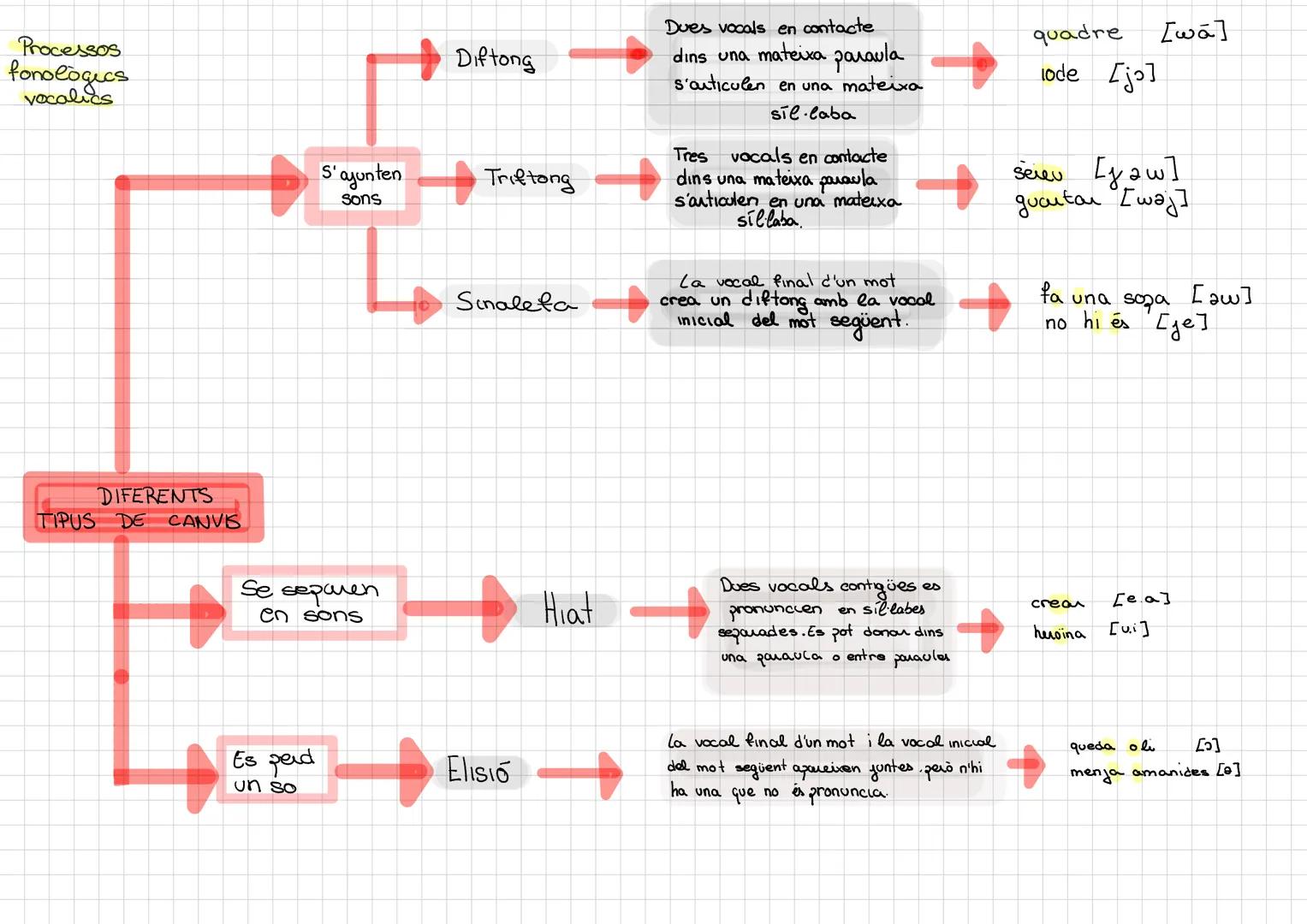 Processos
fonològics
vocalies
S'ajunten
sons
DIFERENTS
TIPUS DE CANVIS
Se separen
en sons
Es perd
un so
Diftong
Triftong
Sinalefa
Du