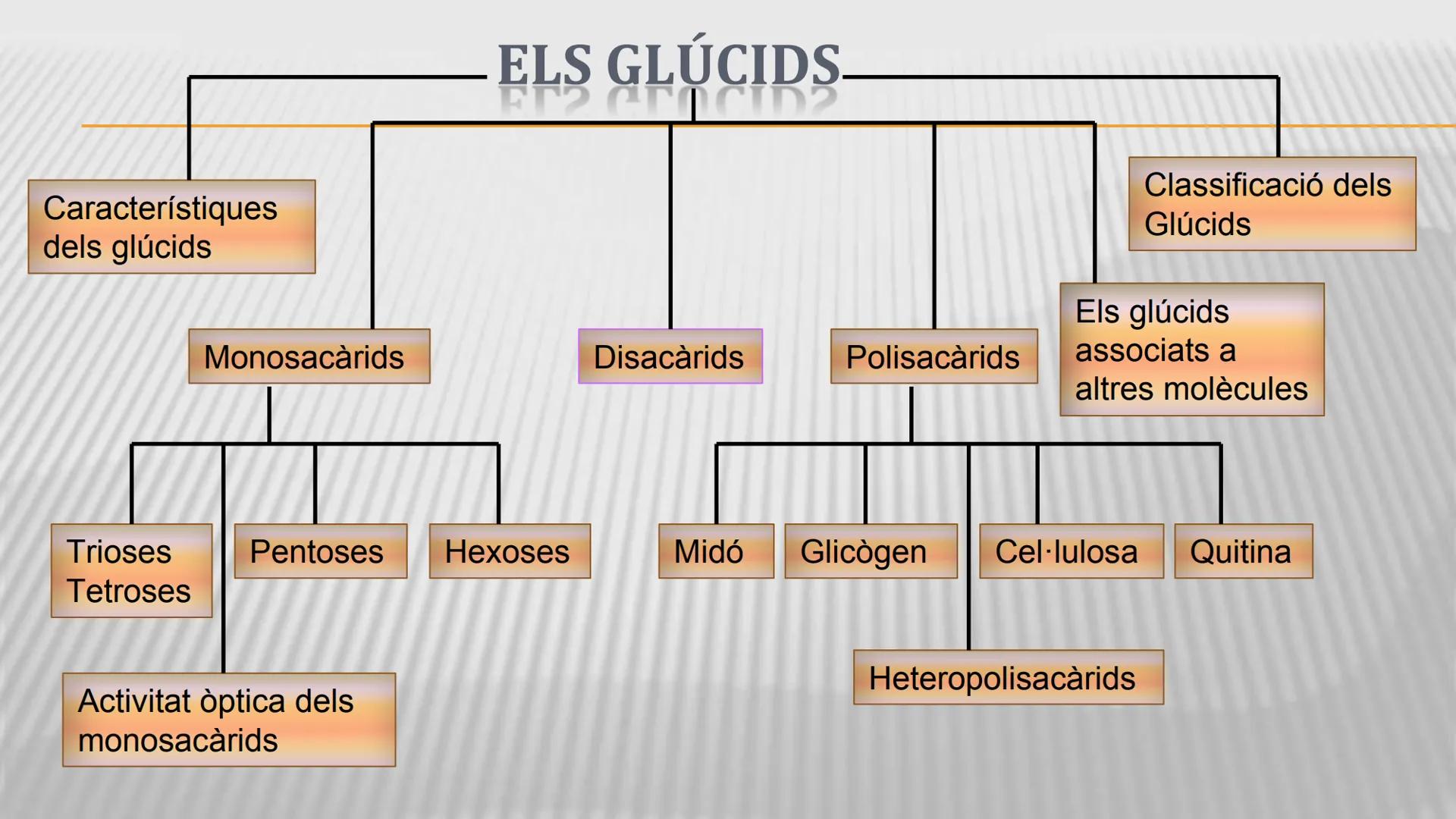 CHOH
CH₂OH
H
H
CHLOH
H
H
OH
H
H
H
H
OH
H
H
OH
H
OH
H
H
OH
H
OH
Celulosa
poli 1,4-0-3-0 glucopiranósido)
Unitat 2.
Els glúcids
WW ELS GLÚCIDS