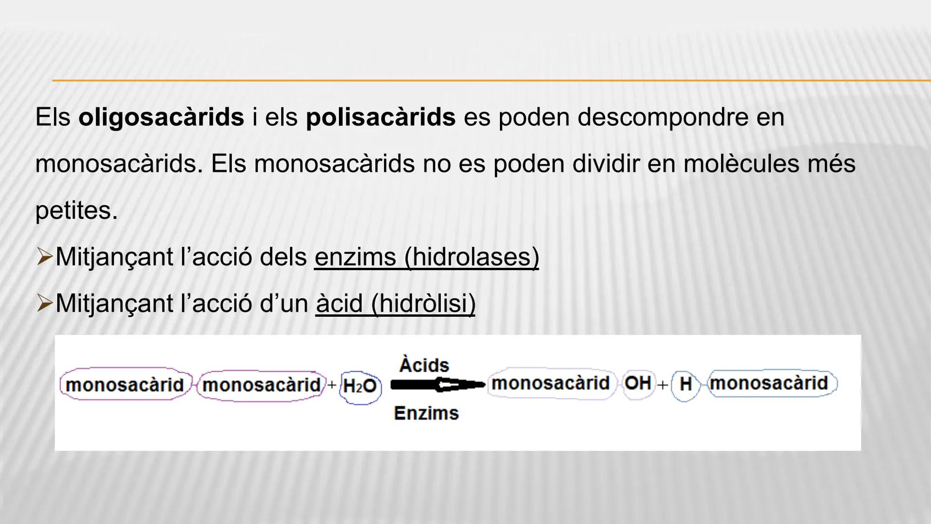 CHOH
CH₂OH
H
H
CHLOH
H
H
OH
H
H
H
H
OH
H
H
OH
H
OH
H
H
OH
H
OH
Celulosa
poli 1,4-0-3-0 glucopiranósido)
Unitat 2.
Els glúcids
WW ELS GLÚCIDS
