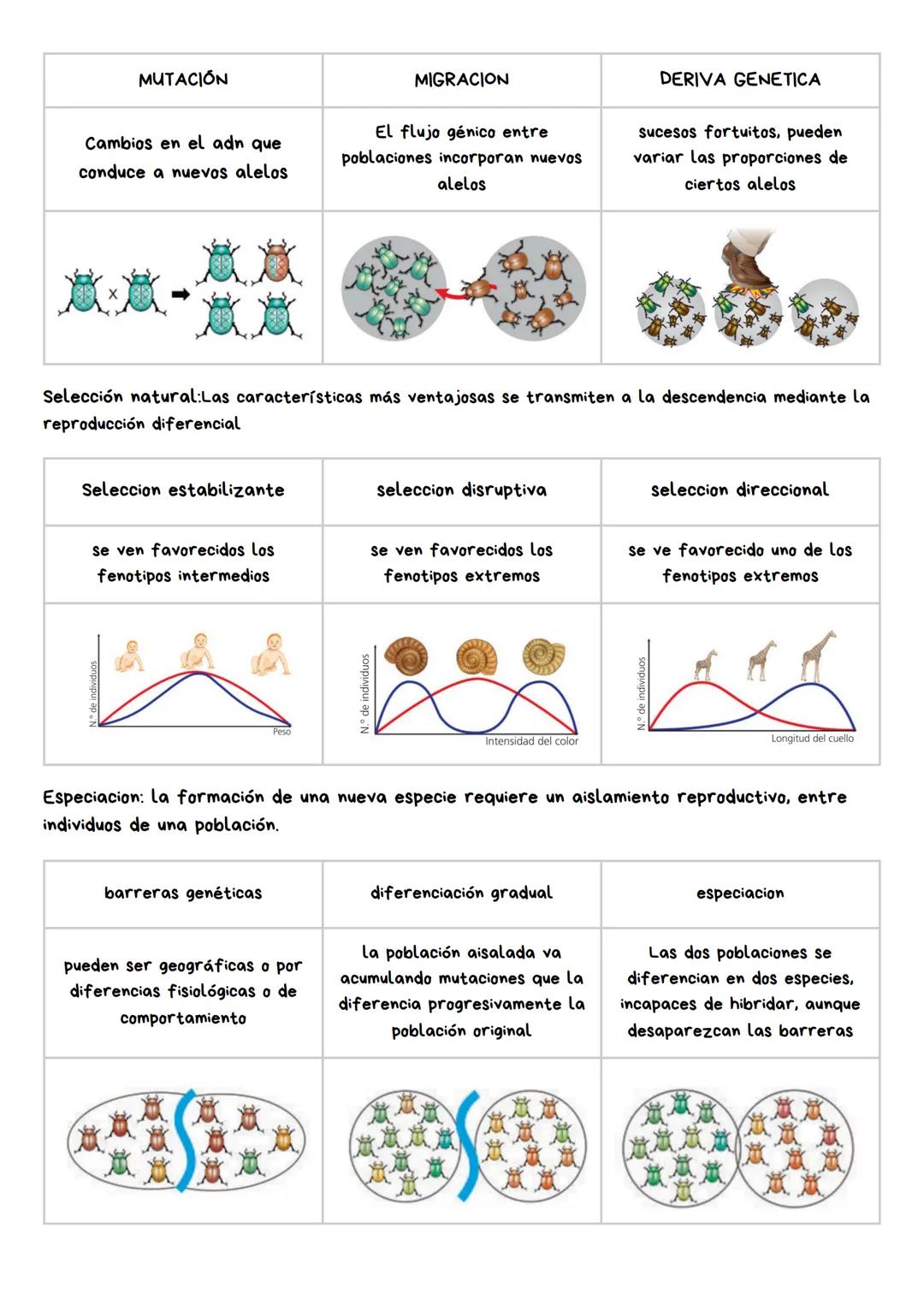 CLASIFICACION Y EVOLUCION DE
LOS SERES VIVOS
1.GRANDES CAMBOS DE LOS SERES VIVOS
La tierra tiene 4,543 Ma, La vida en esta apareció hace 370
