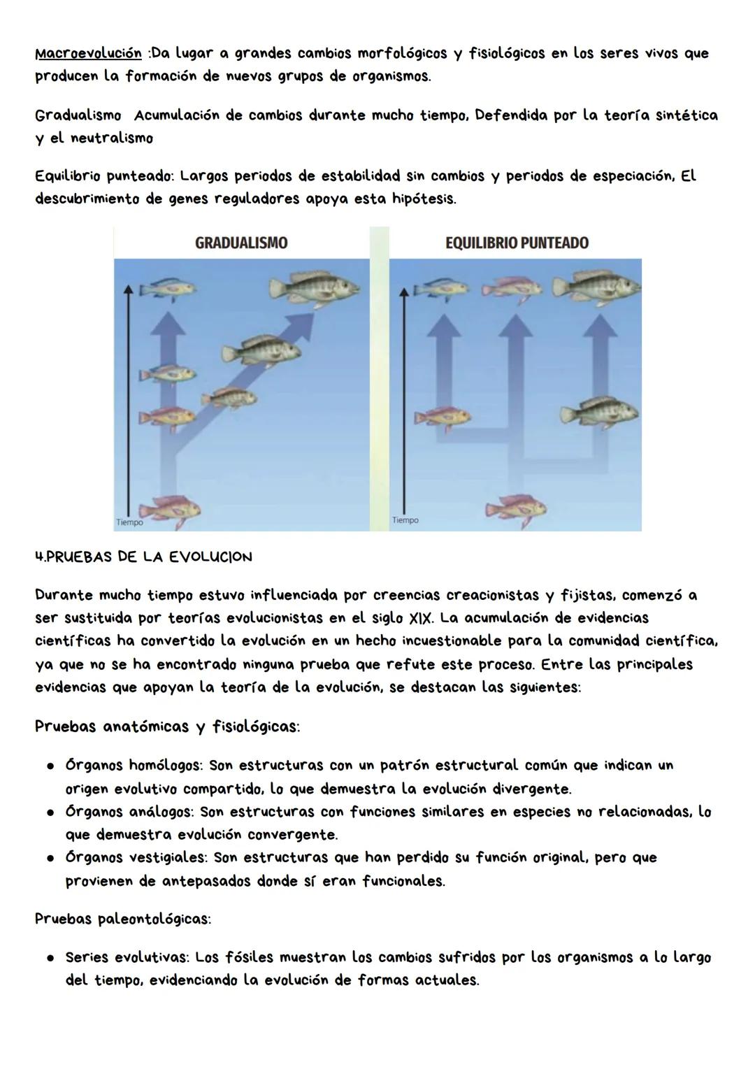 CLASIFICACION Y EVOLUCION DE
LOS SERES VIVOS
1.GRANDES CAMBOS DE LOS SERES VIVOS
La tierra tiene 4,543 Ma, La vida en esta apareció hace 370
