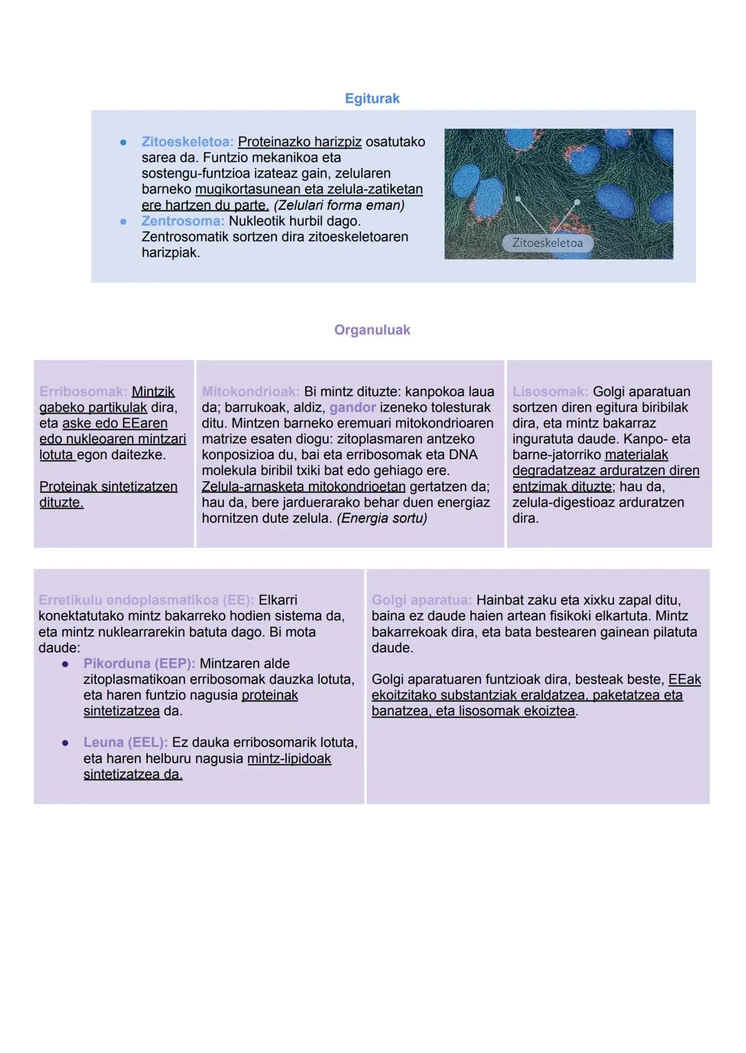 # Biziaren kimika
Zelula
2024/09/30
BIZAREN
KİMİKA
C
gluzidoak Energia
Estrukturalak
H
lipidoak Energia
mintz zelularra asszon dute
0