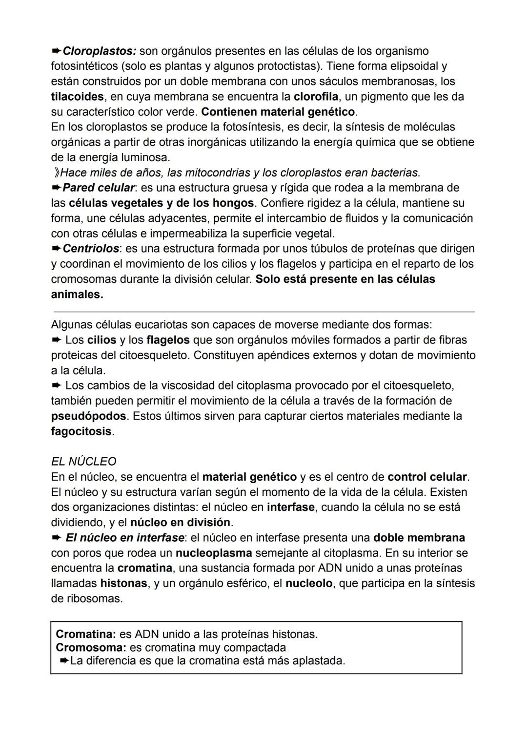 # TEMA 1 BIOLOGÍA: LA CÉLULA
1.ESTRUCTURA Y FUNCIONES.
En 1838, Mathias Schleiden y Theodor Schwann enunciaron la teoría celular:
* Todo