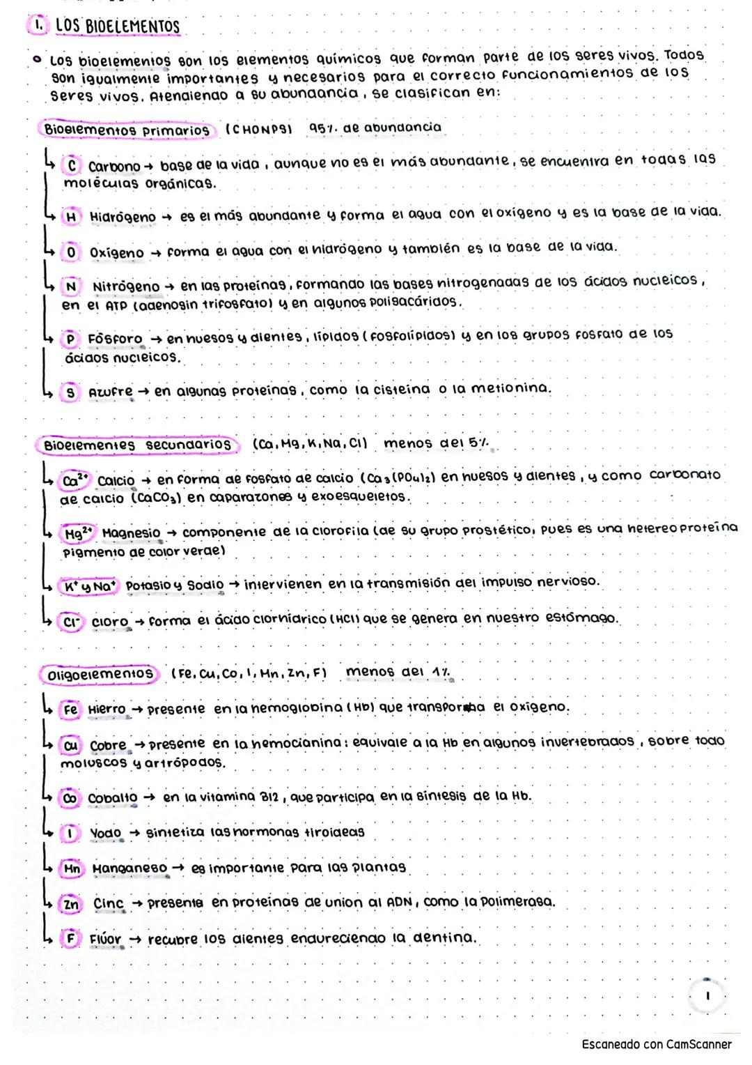 LOS BIOELEMENTOS
Los bioelementos son los elementos químicos que forman parte de los seres vivos. Todos
Son igualmente importantes y necesar