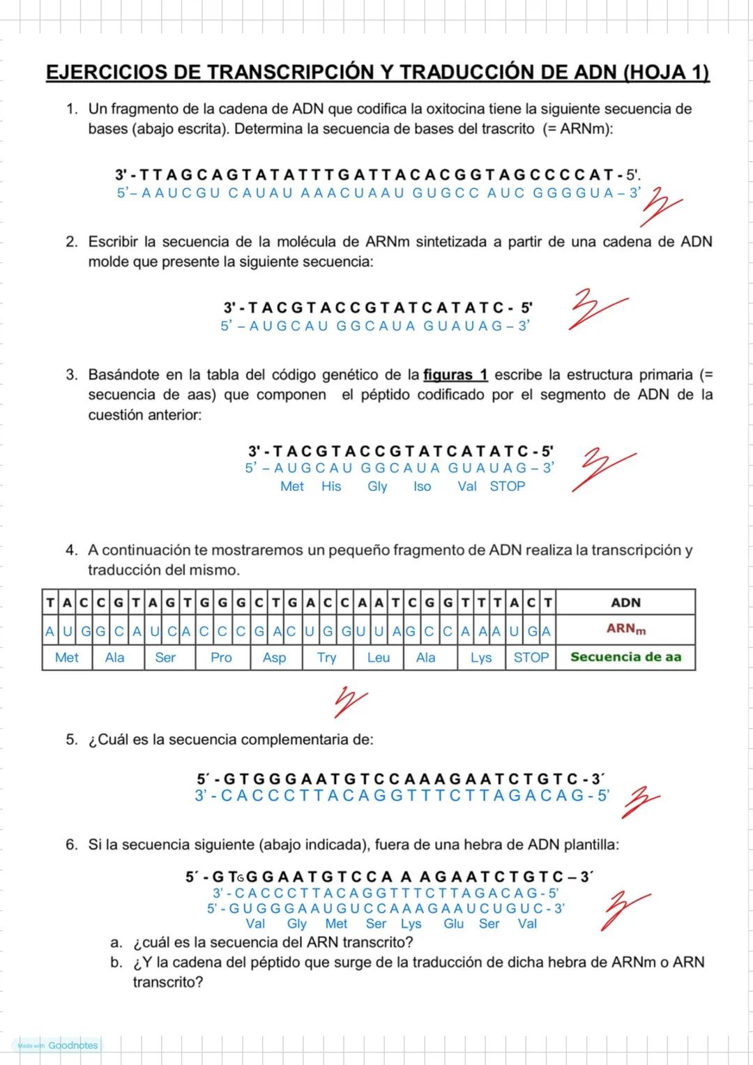 # Tema 2. La información genética
Estructura de un nucleótido
Grupo
fostato
Base
nitrogenada
Azúcar ribosa
o desoxirriposa
Los cromosom