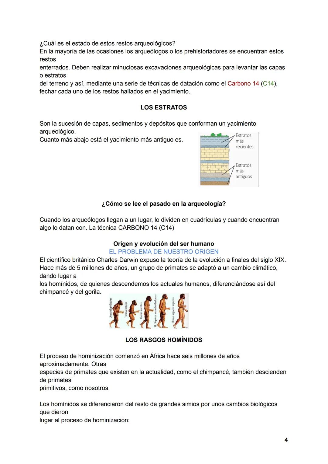 # PREHISTORIA
LA DIVISIÓN DE LA PREHISTORIA
EDAD DE PIEDRA
1.PALEOLÍTICO (4,4 millones de años- 10000 a.C.). Se caracteriza por:
Comienza