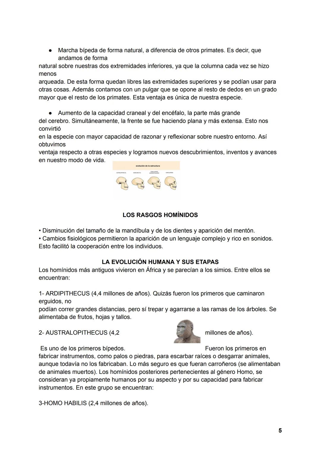# PREHISTORIA
LA DIVISIÓN DE LA PREHISTORIA
EDAD DE PIEDRA
1.PALEOLÍTICO (4,4 millones de años- 10000 a.C.). Se caracteriza por:
Comienza