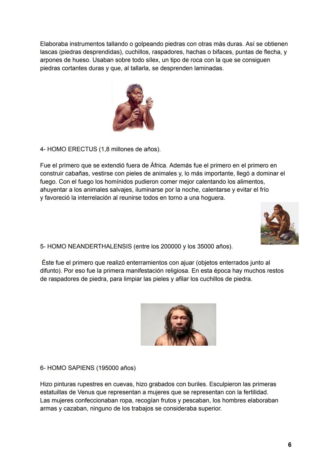 # PREHISTORIA
LA DIVISIÓN DE LA PREHISTORIA
EDAD DE PIEDRA
1.PALEOLÍTICO (4,4 millones de años- 10000 a.C.). Se caracteriza por:
Comienza