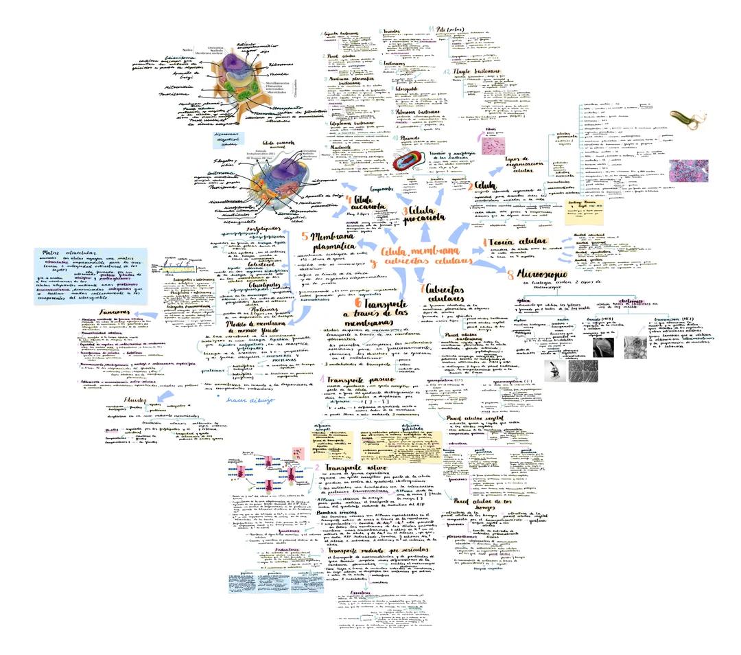 Biología 2 bachillerato