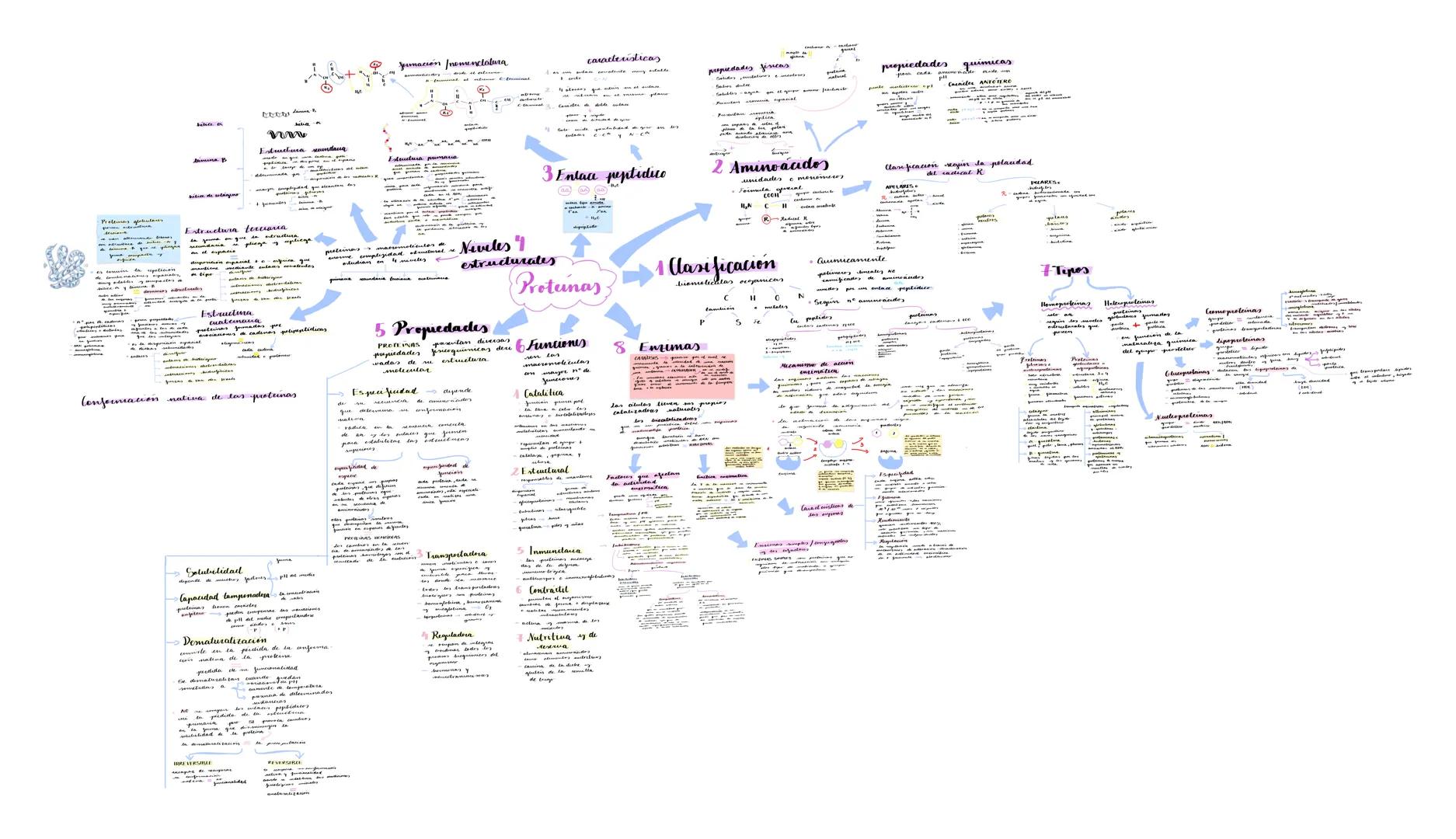 # Proteínas
## 1.(Clasificación
* **Funcionalmente:**
* Enzimas
* Hormonas
* Anticuerpos
* Proteínas estructurales
* P