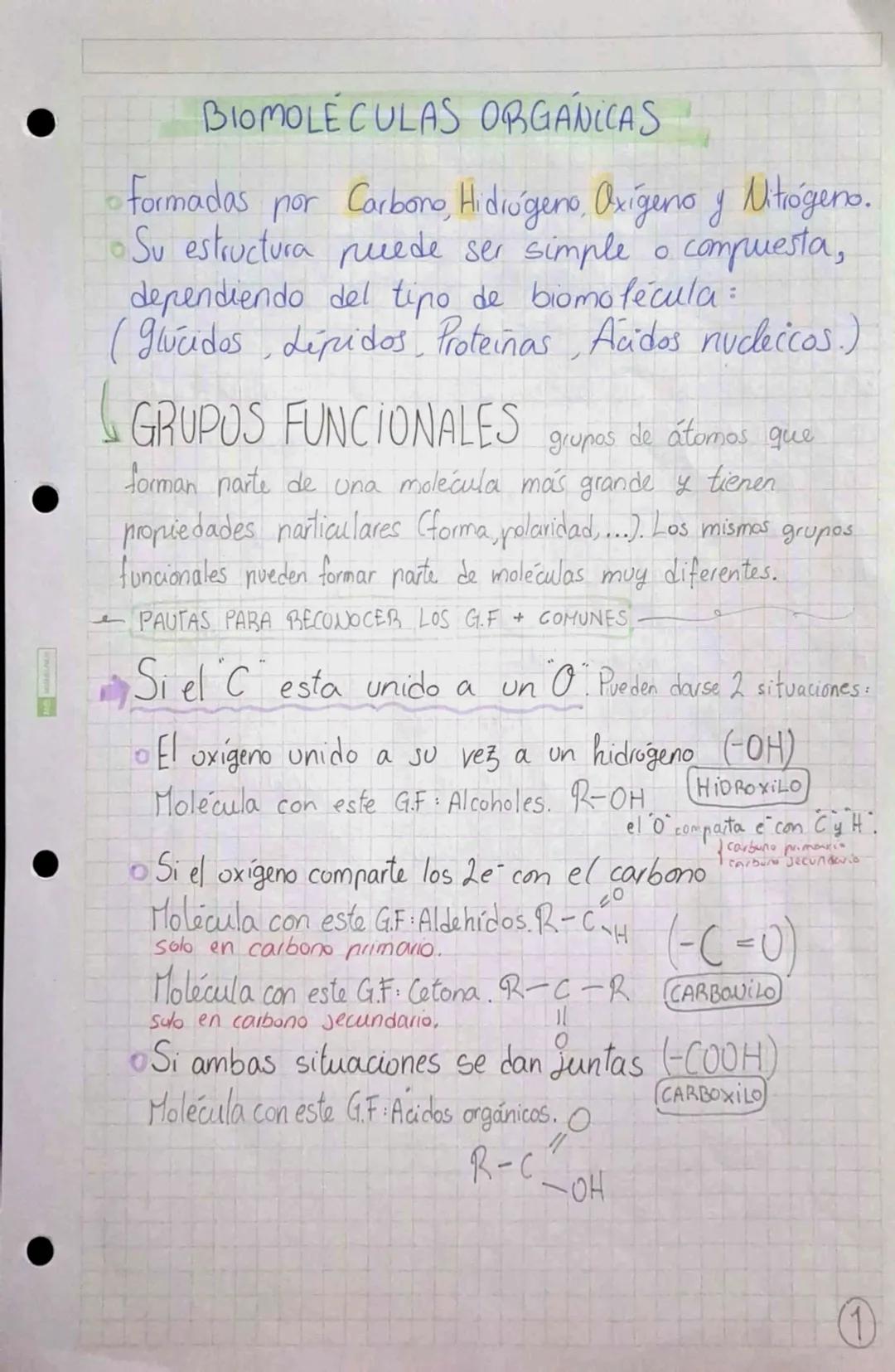 •
•
•
# BIOMOLÉCULAS ORGÁNICAS
•Formadas por Carbono, Hidrógeno, Oxígeno y Mitrógeno.
• Su estructura puede ser simple o compuesta,
dependie