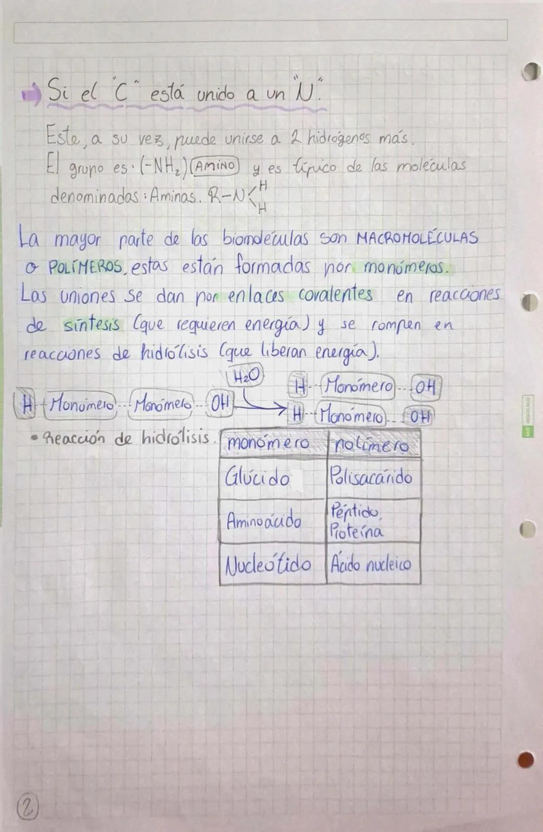 •
•
•
# BIOMOLÉCULAS ORGÁNICAS
•Formadas por Carbono, Hidrógeno, Oxígeno y Mitrógeno.
• Su estructura puede ser simple o compuesta,
dependie