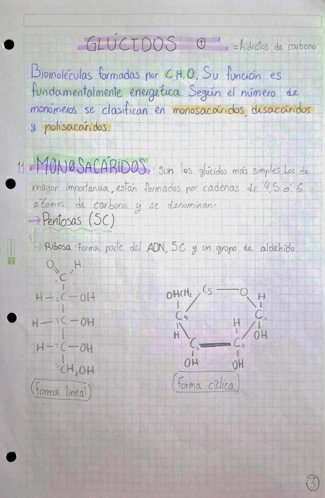 •
•
•
# BIOMOLÉCULAS ORGÁNICAS
•Formadas por Carbono, Hidrógeno, Oxígeno y Mitrógeno.
• Su estructura puede ser simple o compuesta,
dependie