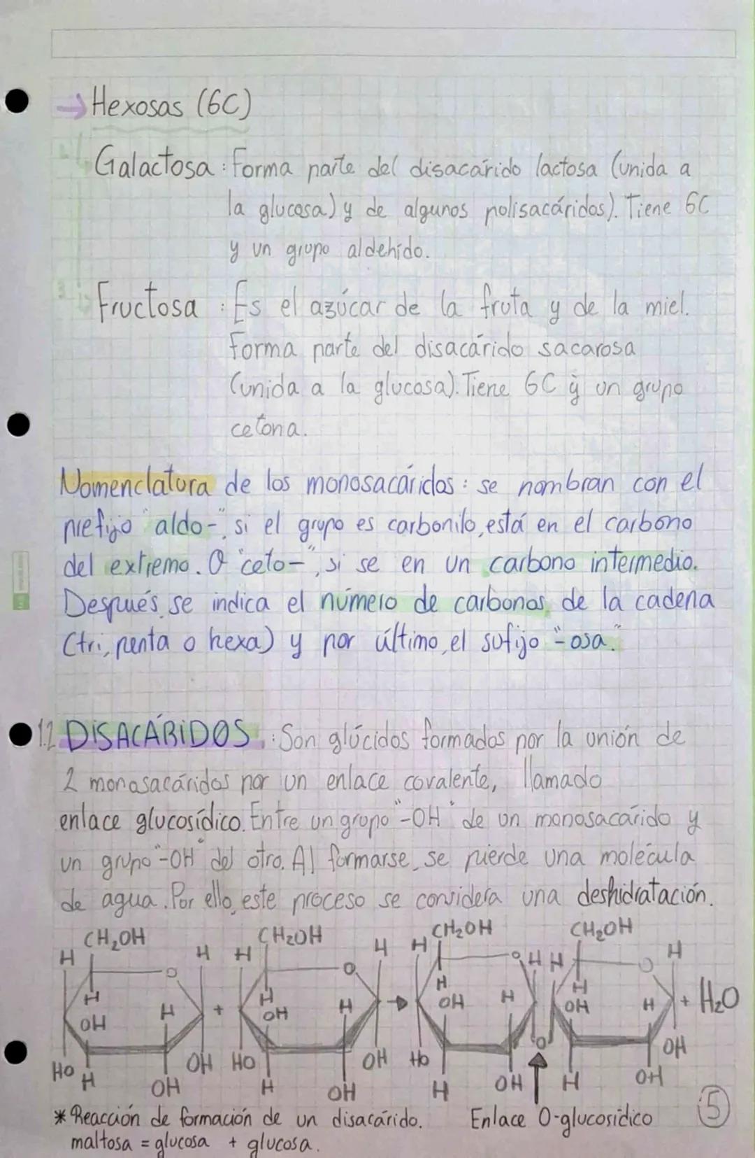 •
•
•
# BIOMOLÉCULAS ORGÁNICAS
•Formadas por Carbono, Hidrógeno, Oxígeno y Mitrógeno.
• Su estructura puede ser simple o compuesta,
dependie