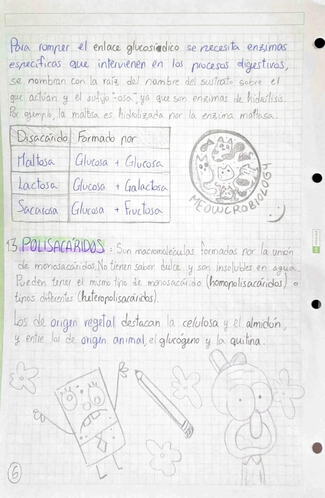 •
•
•
# BIOMOLÉCULAS ORGÁNICAS
•Formadas por Carbono, Hidrógeno, Oxígeno y Mitrógeno.
• Su estructura puede ser simple o compuesta,
dependie