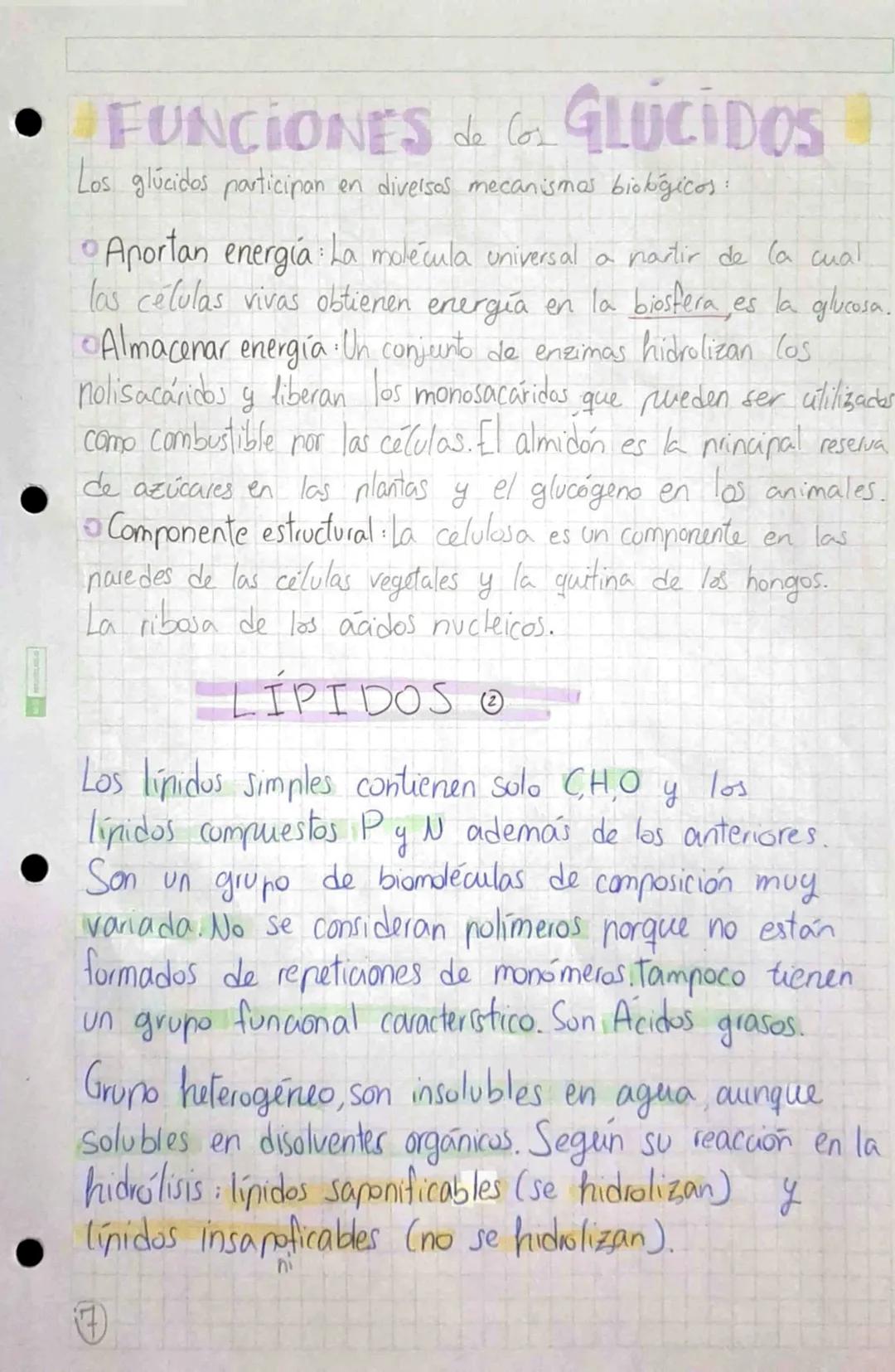 •
•
•
# BIOMOLÉCULAS ORGÁNICAS
•Formadas por Carbono, Hidrógeno, Oxígeno y Mitrógeno.
• Su estructura puede ser simple o compuesta,
dependie
