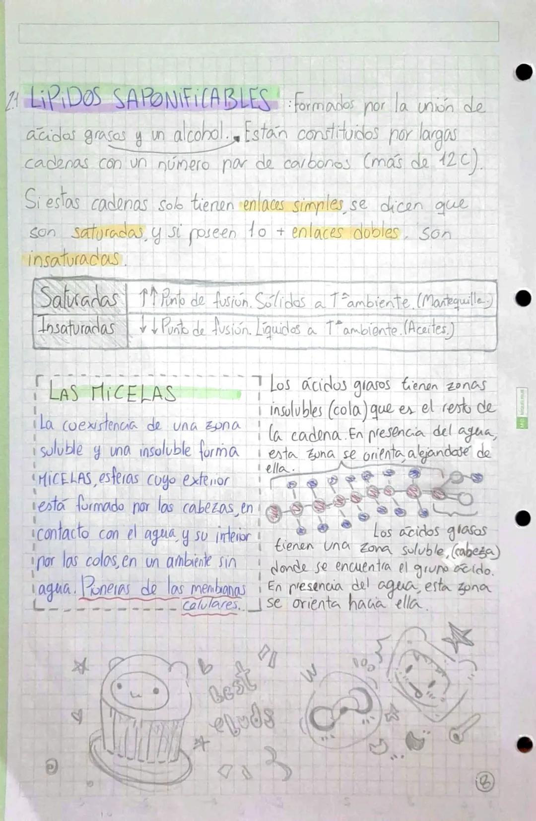 •
•
•
# BIOMOLÉCULAS ORGÁNICAS
•Formadas por Carbono, Hidrógeno, Oxígeno y Mitrógeno.
• Su estructura puede ser simple o compuesta,
dependie