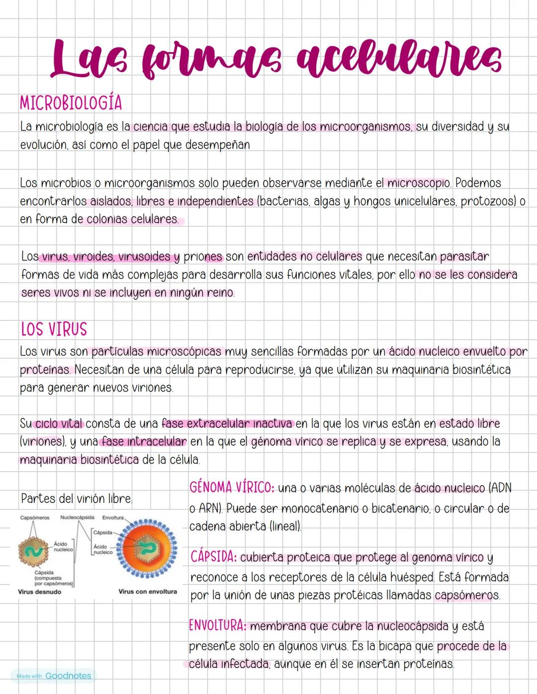 Biologia Tema ?
Taxonomia
SISTEMÁTICA
Rama de la biología que diseña sistemas de clasificación que agrupen a los seres vivos en función
de