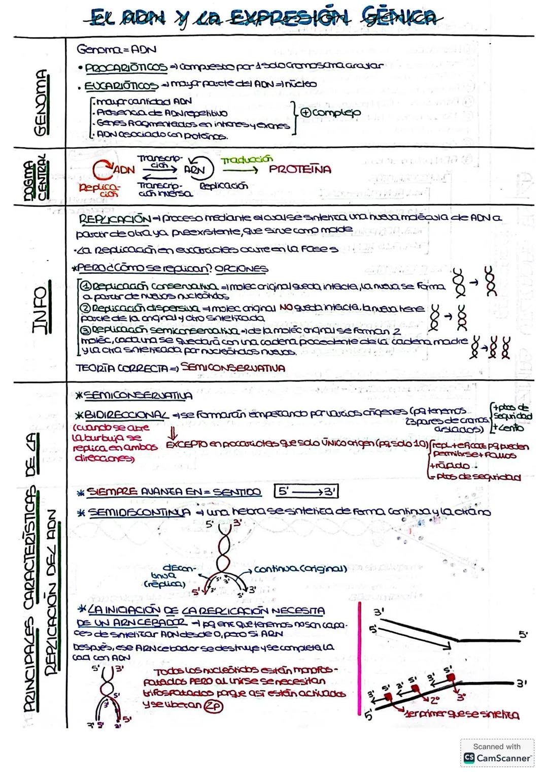 # EL AON Y CA EXPRESIÓN GENICA
DOGMA
CENTRAL GENOMA
INFO
PRINCIPALES CARACTERISTICAS DE LA
REPLICACIÓN DEL ADN
Genoma ADN
• PROCARIÕTIC