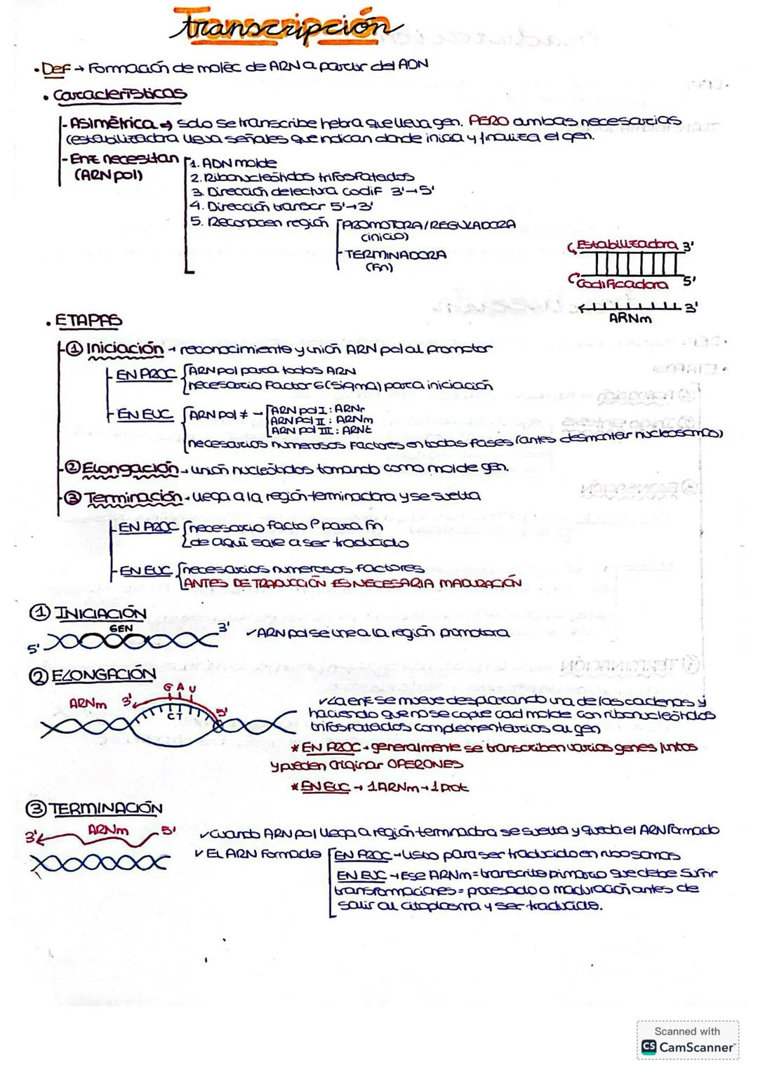 # EL AON Y CA EXPRESIÓN GENICA
DOGMA
CENTRAL GENOMA
INFO
PRINCIPALES CARACTERISTICAS DE LA
REPLICACIÓN DEL ADN
Genoma ADN
• PROCARIÕTIC